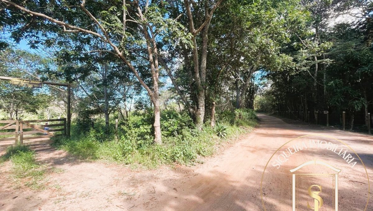 Siqueira Imóveis de Pirenópolis / Goiás / BrasilVenda de Casa em Brasília é na Siqueira Imobiliária de Pirenópolis / Imobiliária de Goiás / Imobiliária do Brasil / Imobiliária do Centro-Oeste / Pirenópolis Imóveis / Imóveis Pirenópolis / Imobiliária de Pirenópolis / Pirenópolis Imobiliária / Goiás Imóveis / Brasil Imóveis / Pirenópolis / Goiás / Brasil / Siqueira Imobiliária de Goiás / Consultoria Imobiliária / Consultor Imobiliário / Venda de Imóveis Pirenópolis / Melhor Imobiliária de Pirenópolis / Venda de pousadas / Venda de terrenos / venda de casas/ Venda de Lotes / Venda de Chácara / Venda de Fazenda / Venda de Apartamentos / Venda de Flat / Venda de Sítio / Brasília Imóveis / Goiânia Imóveis / Imobiliária de Goiânia / Imobiliária de Brasília/ Imobiliária em Pirenópolis / Imobiliária de Pirenópolis / Condomínio Fechado Vaga Fogo / Condomínio Paço da Estalagem / Condomínio Parque da Estalagem / Condomínio Quinta do Sol / Condomínio Fechado Pirenópolis / Cachoeiras Pirenópolis / Restaurante Pirenópolis /Siqueira Imóveis de Pirenópolis / Goiás / BrasilVenda de Casa em Brasília é na Siqueira Imobiliária de Pirenópolis / Imobiliária de Goiás / Imobiliária do Brasil / Imobiliária do Centro-Oeste / Pirenópolis Imóveis / Imóveis Pirenópolis / Imobiliária de Pirenópolis / Pirenópolis Imobiliária / Goiás Imóveis / Brasil Imóveis / Pirenópolis / Goiás / Brasil / Siqueira Imobiliária de Goiás / Consultoria Imobiliária / Consultor Imobiliário / Venda de Imóveis Pirenópolis / Melhor Imobiliária de Pirenópolis / Venda de pousadas / Venda de terrenos / venda de casas/ Venda de Lotes / Venda de Chácara / Venda de Fazenda / Venda de Apartamentos / Venda de Flat / Venda de Sítio / Brasília Imóveis / Goiânia Imóveis / Imobiliária de Goiânia / Imobiliária de Brasília/ Imobiliária em Pirenópolis / Imobiliária de Pirenópolis / Condomínio Fechado Vaga Fogo / Condomínio Paço da Estalagem / Condomínio Parque da Estalagem / Condomínio Quinta do Sol / Condomínio Fechado Pirenópolis / Cachoeiras Pirenópolis / Restaurante Pirenópolis /Siqueira Imóveis de Pirenópolis / Goiás / BrasilVenda de Casa em Brasília é na Siqueira Imobiliária de Pirenópolis / Imobiliária de Goiás / Imobiliária do Brasil / Imobiliária do Centro-Oeste / Pirenópolis Imóveis / Imóveis Pirenópolis / Imobiliária de Pirenópolis / Pirenópolis Imobiliária / Goiás Imóveis / Brasil Imóveis / Pirenópolis / Goiás / Brasil / Siqueira Imobiliária de Goiás / Consultoria Imobiliária / Consultor Imobiliário / Venda de Imóveis Pirenópolis / Melhor Imobiliária de Pirenópolis / Venda de pousadas / Venda de terrenos / venda de casas/ Venda de Lotes / Venda de Chácara / Venda de Fazenda / Venda de Apartamentos / Venda de Flat / Venda de Sítio / Brasília Imóveis / Goiânia Imóveis / Imobiliária de Goiânia / Imobiliária de Brasília/ Imobiliária em Pirenópolis / Imobiliária de Pirenópolis / Condomínio Fechado Vaga Fogo / Condomínio Paço da Estalagem / Condomínio Parque da Estalagem / Condomínio Quinta do Sol / Condomínio Fechado Pirenópolis / Cachoeiras Pirenópolis / Restaurante Pirenópolis /Siqueira Imóveis de Pirenópolis / Goiás / BrasilVenda de Casa em Brasília é na Siqueira Imobiliária de Pirenópolis / Imobiliária de Goiás / Imobiliária do Brasil / Imobiliária do Centro-Oeste / Pirenópolis Imóveis / Imóveis Pirenópolis / Imobiliária de Pirenópolis / Pirenópolis Imobiliária / Goiás Imóveis / Brasil Imóveis / Pirenópolis / Goiás / Brasil / Siqueira Imobiliária de Goiás / Consultoria Imobiliária / Consultor Imobiliário / Venda de Imóveis Pirenópolis / Melhor Imobiliária de Pirenópolis / Venda de pousadas / Venda de terrenos / venda de casas/ Venda de Lotes / Venda de Chácara / Venda de Fazenda / Venda de Apartamentos / Venda de Flat / Venda de Sítio / Brasília Imóveis / Goiânia Imóveis / Imobiliária de Goiânia / Imobiliária de Brasília/ Imobiliária em Pirenópolis / Imobiliária de Pirenópolis / Condomínio Fechado Vaga Fogo / Condomínio Paço da Estalagem / Condomínio Parque da Estalagem / Condomínio Quinta do Sol / Condomínio Fechado Pirenópolis / Cachoeiras Pirenópolis / Restaurante Pirenópolis /