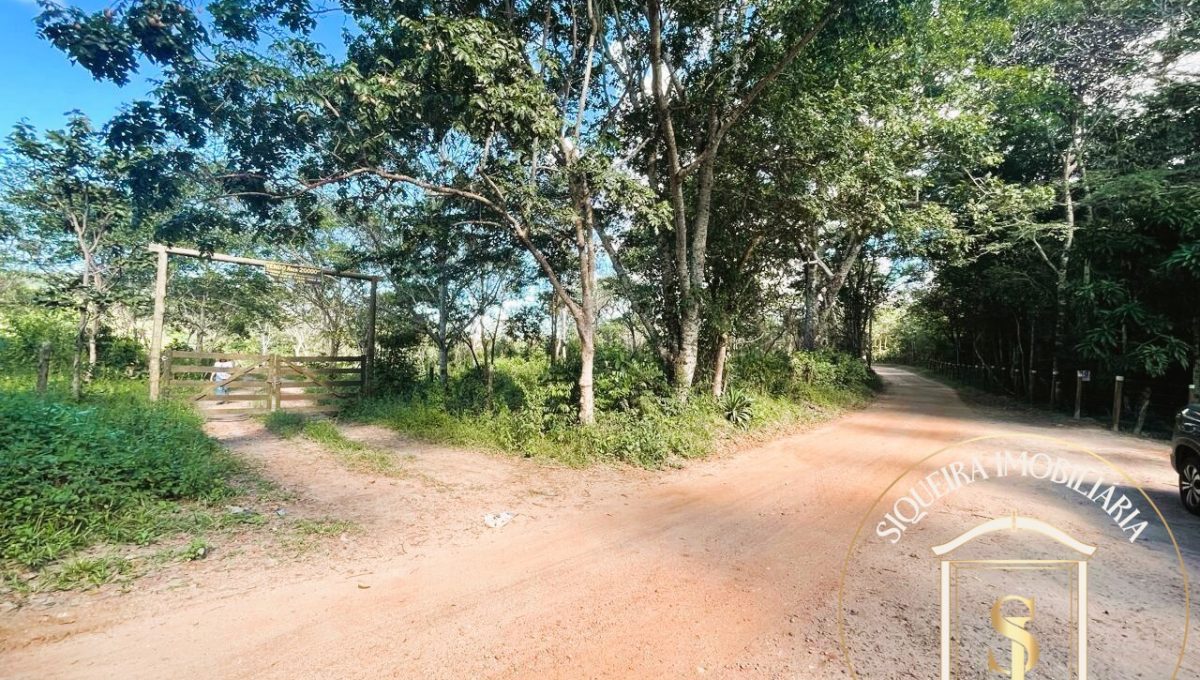 Siqueira Imóveis de Pirenópolis / Goiás / BrasilVenda de Casa em Brasília é na Siqueira Imobiliária de Pirenópolis / Imobiliária de Goiás / Imobiliária do Brasil / Imobiliária do Centro-Oeste / Pirenópolis Imóveis / Imóveis Pirenópolis / Imobiliária de Pirenópolis / Pirenópolis Imobiliária / Goiás Imóveis / Brasil Imóveis / Pirenópolis / Goiás / Brasil / Siqueira Imobiliária de Goiás / Consultoria Imobiliária / Consultor Imobiliário / Venda de Imóveis Pirenópolis / Melhor Imobiliária de Pirenópolis / Venda de pousadas / Venda de terrenos / venda de casas/ Venda de Lotes / Venda de Chácara / Venda de Fazenda / Venda de Apartamentos / Venda de Flat / Venda de Sítio / Brasília Imóveis / Goiânia Imóveis / Imobiliária de Goiânia / Imobiliária de Brasília/ Imobiliária em Pirenópolis / Imobiliária de Pirenópolis / Condomínio Fechado Vaga Fogo / Condomínio Paço da Estalagem / Condomínio Parque da Estalagem / Condomínio Quinta do Sol / Condomínio Fechado Pirenópolis / Cachoeiras Pirenópolis / Restaurante Pirenópolis /Siqueira Imóveis de Pirenópolis / Goiás / BrasilVenda de Casa em Brasília é na Siqueira Imobiliária de Pirenópolis / Imobiliária de Goiás / Imobiliária do Brasil / Imobiliária do Centro-Oeste / Pirenópolis Imóveis / Imóveis Pirenópolis / Imobiliária de Pirenópolis / Pirenópolis Imobiliária / Goiás Imóveis / Brasil Imóveis / Pirenópolis / Goiás / Brasil / Siqueira Imobiliária de Goiás / Consultoria Imobiliária / Consultor Imobiliário / Venda de Imóveis Pirenópolis / Melhor Imobiliária de Pirenópolis / Venda de pousadas / Venda de terrenos / venda de casas/ Venda de Lotes / Venda de Chácara / Venda de Fazenda / Venda de Apartamentos / Venda de Flat / Venda de Sítio / Brasília Imóveis / Goiânia Imóveis / Imobiliária de Goiânia / Imobiliária de Brasília/ Imobiliária em Pirenópolis / Imobiliária de Pirenópolis / Condomínio Fechado Vaga Fogo / Condomínio Paço da Estalagem / Condomínio Parque da Estalagem / Condomínio Quinta do Sol / Condomínio Fechado Pirenópolis / Cachoeiras Pirenópolis / Restaurante Pirenópolis /Siqueira Imóveis de Pirenópolis / Goiás / BrasilVenda de Casa em Brasília é na Siqueira Imobiliária de Pirenópolis / Imobiliária de Goiás / Imobiliária do Brasil / Imobiliária do Centro-Oeste / Pirenópolis Imóveis / Imóveis Pirenópolis / Imobiliária de Pirenópolis / Pirenópolis Imobiliária / Goiás Imóveis / Brasil Imóveis / Pirenópolis / Goiás / Brasil / Siqueira Imobiliária de Goiás / Consultoria Imobiliária / Consultor Imobiliário / Venda de Imóveis Pirenópolis / Melhor Imobiliária de Pirenópolis / Venda de pousadas / Venda de terrenos / venda de casas/ Venda de Lotes / Venda de Chácara / Venda de Fazenda / Venda de Apartamentos / Venda de Flat / Venda de Sítio / Brasília Imóveis / Goiânia Imóveis / Imobiliária de Goiânia / Imobiliária de Brasília/ Imobiliária em Pirenópolis / Imobiliária de Pirenópolis / Condomínio Fechado Vaga Fogo / Condomínio Paço da Estalagem / Condomínio Parque da Estalagem / Condomínio Quinta do Sol / Condomínio Fechado Pirenópolis / Cachoeiras Pirenópolis / Restaurante Pirenópolis /Siqueira Imóveis de Pirenópolis / Goiás / BrasilVenda de Casa em Brasília é na Siqueira Imobiliária de Pirenópolis / Imobiliária de Goiás / Imobiliária do Brasil / Imobiliária do Centro-Oeste / Pirenópolis Imóveis / Imóveis Pirenópolis / Imobiliária de Pirenópolis / Pirenópolis Imobiliária / Goiás Imóveis / Brasil Imóveis / Pirenópolis / Goiás / Brasil / Siqueira Imobiliária de Goiás / Consultoria Imobiliária / Consultor Imobiliário / Venda de Imóveis Pirenópolis / Melhor Imobiliária de Pirenópolis / Venda de pousadas / Venda de terrenos / venda de casas/ Venda de Lotes / Venda de Chácara / Venda de Fazenda / Venda de Apartamentos / Venda de Flat / Venda de Sítio / Brasília Imóveis / Goiânia Imóveis / Imobiliária de Goiânia / Imobiliária de Brasília/ Imobiliária em Pirenópolis / Imobiliária de Pirenópolis / Condomínio Fechado Vaga Fogo / Condomínio Paço da Estalagem / Condomínio Parque da Estalagem / Condomínio Quinta do Sol / Condomínio Fechado Pirenópolis / Cachoeiras Pirenópolis / Restaurante Pirenópolis /