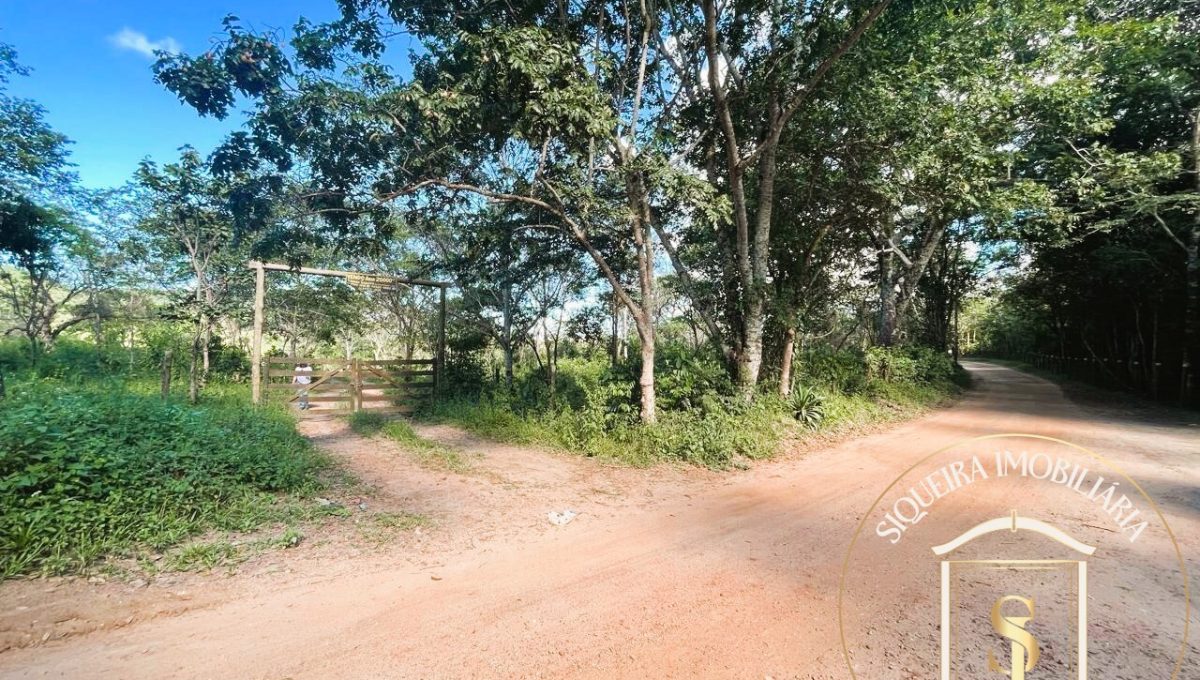 Siqueira Imóveis de Pirenópolis / Goiás / BrasilVenda de Casa em Brasília é na Siqueira Imobiliária de Pirenópolis / Imobiliária de Goiás / Imobiliária do Brasil / Imobiliária do Centro-Oeste / Pirenópolis Imóveis / Imóveis Pirenópolis / Imobiliária de Pirenópolis / Pirenópolis Imobiliária / Goiás Imóveis / Brasil Imóveis / Pirenópolis / Goiás / Brasil / Siqueira Imobiliária de Goiás / Consultoria Imobiliária / Consultor Imobiliário / Venda de Imóveis Pirenópolis / Melhor Imobiliária de Pirenópolis / Venda de pousadas / Venda de terrenos / venda de casas/ Venda de Lotes / Venda de Chácara / Venda de Fazenda / Venda de Apartamentos / Venda de Flat / Venda de Sítio / Brasília Imóveis / Goiânia Imóveis / Imobiliária de Goiânia / Imobiliária de Brasília/ Imobiliária em Pirenópolis / Imobiliária de Pirenópolis / Condomínio Fechado Vaga Fogo / Condomínio Paço da Estalagem / Condomínio Parque da Estalagem / Condomínio Quinta do Sol / Condomínio Fechado Pirenópolis / Cachoeiras Pirenópolis / Restaurante Pirenópolis /Siqueira Imóveis de Pirenópolis / Goiás / BrasilVenda de Casa em Brasília é na Siqueira Imobiliária de Pirenópolis / Imobiliária de Goiás / Imobiliária do Brasil / Imobiliária do Centro-Oeste / Pirenópolis Imóveis / Imóveis Pirenópolis / Imobiliária de Pirenópolis / Pirenópolis Imobiliária / Goiás Imóveis / Brasil Imóveis / Pirenópolis / Goiás / Brasil / Siqueira Imobiliária de Goiás / Consultoria Imobiliária / Consultor Imobiliário / Venda de Imóveis Pirenópolis / Melhor Imobiliária de Pirenópolis / Venda de pousadas / Venda de terrenos / venda de casas/ Venda de Lotes / Venda de Chácara / Venda de Fazenda / Venda de Apartamentos / Venda de Flat / Venda de Sítio / Brasília Imóveis / Goiânia Imóveis / Imobiliária de Goiânia / Imobiliária de Brasília/ Imobiliária em Pirenópolis / Imobiliária de Pirenópolis / Condomínio Fechado Vaga Fogo / Condomínio Paço da Estalagem / Condomínio Parque da Estalagem / Condomínio Quinta do Sol / Condomínio Fechado Pirenópolis / Cachoeiras Pirenópolis / Restaurante Pirenópolis /Siqueira Imóveis de Pirenópolis / Goiás / BrasilVenda de Casa em Brasília é na Siqueira Imobiliária de Pirenópolis / Imobiliária de Goiás / Imobiliária do Brasil / Imobiliária do Centro-Oeste / Pirenópolis Imóveis / Imóveis Pirenópolis / Imobiliária de Pirenópolis / Pirenópolis Imobiliária / Goiás Imóveis / Brasil Imóveis / Pirenópolis / Goiás / Brasil / Siqueira Imobiliária de Goiás / Consultoria Imobiliária / Consultor Imobiliário / Venda de Imóveis Pirenópolis / Melhor Imobiliária de Pirenópolis / Venda de pousadas / Venda de terrenos / venda de casas/ Venda de Lotes / Venda de Chácara / Venda de Fazenda / Venda de Apartamentos / Venda de Flat / Venda de Sítio / Brasília Imóveis / Goiânia Imóveis / Imobiliária de Goiânia / Imobiliária de Brasília/ Imobiliária em Pirenópolis / Imobiliária de Pirenópolis / Condomínio Fechado Vaga Fogo / Condomínio Paço da Estalagem / Condomínio Parque da Estalagem / Condomínio Quinta do Sol / Condomínio Fechado Pirenópolis / Cachoeiras Pirenópolis / Restaurante Pirenópolis /Siqueira Imóveis de Pirenópolis / Goiás / BrasilVenda de Casa em Brasília é na Siqueira Imobiliária de Pirenópolis / Imobiliária de Goiás / Imobiliária do Brasil / Imobiliária do Centro-Oeste / Pirenópolis Imóveis / Imóveis Pirenópolis / Imobiliária de Pirenópolis / Pirenópolis Imobiliária / Goiás Imóveis / Brasil Imóveis / Pirenópolis / Goiás / Brasil / Siqueira Imobiliária de Goiás / Consultoria Imobiliária / Consultor Imobiliário / Venda de Imóveis Pirenópolis / Melhor Imobiliária de Pirenópolis / Venda de pousadas / Venda de terrenos / venda de casas/ Venda de Lotes / Venda de Chácara / Venda de Fazenda / Venda de Apartamentos / Venda de Flat / Venda de Sítio / Brasília Imóveis / Goiânia Imóveis / Imobiliária de Goiânia / Imobiliária de Brasília/ Imobiliária em Pirenópolis / Imobiliária de Pirenópolis / Condomínio Fechado Vaga Fogo / Condomínio Paço da Estalagem / Condomínio Parque da Estalagem / Condomínio Quinta do Sol / Condomínio Fechado Pirenópolis / Cachoeiras Pirenópolis / Restaurante Pirenópolis /