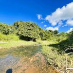 Siqueira Imóveis de Pirenópolis / Goiás / BrasilVenda de Casa em Brasília é na Siqueira Imobiliária de Pirenópolis / Imobiliária de Goiás / Imobiliária do Brasil / Imobiliária do Centro-Oeste / Pirenópolis Imóveis / Imóveis Pirenópolis / Imobiliária de Pirenópolis / Pirenópolis Imobiliária / Goiás Imóveis / Brasil Imóveis / Pirenópolis / Goiás / Brasil / Siqueira Imobiliária de Goiás / Consultoria Imobiliária / Consultor Imobiliário / Venda de Imóveis Pirenópolis / Melhor Imobiliária de Pirenópolis / Venda de pousadas / Venda de terrenos / venda de casas/ Venda de Lotes / Venda de Chácara / Venda de Fazenda / Venda de Apartamentos / Venda de Flat / Venda de Sítio / Brasília Imóveis / Goiânia Imóveis / Imobiliária de Goiânia / Imobiliária de Brasília/ Imobiliária em Pirenópolis / Imobiliária de Pirenópolis / Condomínio Fechado Vaga Fogo / Condomínio Paço da Estalagem / Condomínio Parque da Estalagem / Condomínio Quinta do Sol / Condomínio Fechado Pirenópolis / Cachoeiras Pirenópolis / Restaurante Pirenópolis /Siqueira Imóveis de Pirenópolis / Goiás / BrasilVenda de Casa em Brasília é na Siqueira Imobiliária de Pirenópolis / Imobiliária de Goiás / Imobiliária do Brasil / Imobiliária do Centro-Oeste / Pirenópolis Imóveis / Imóveis Pirenópolis / Imobiliária de Pirenópolis / Pirenópolis Imobiliária / Goiás Imóveis / Brasil Imóveis / Pirenópolis / Goiás / Brasil / Siqueira Imobiliária de Goiás / Consultoria Imobiliária / Consultor Imobiliário / Venda de Imóveis Pirenópolis / Melhor Imobiliária de Pirenópolis / Venda de pousadas / Venda de terrenos / venda de casas/ Venda de Lotes / Venda de Chácara / Venda de Fazenda / Venda de Apartamentos / Venda de Flat / Venda de Sítio / Brasília Imóveis / Goiânia Imóveis / Imobiliária de Goiânia / Imobiliária de Brasília/ Imobiliária em Pirenópolis / Imobiliária de Pirenópolis / Condomínio Fechado Vaga Fogo / Condomínio Paço da Estalagem / Condomínio Parque da Estalagem / Condomínio Quinta do Sol / Condomínio Fechado Pirenópolis / Cachoeiras Pirenópolis / Restaurante Pirenópolis /Siqueira Imóveis de Pirenópolis / Goiás / BrasilVenda de Casa em Brasília é na Siqueira Imobiliária de Pirenópolis / Imobiliária de Goiás / Imobiliária do Brasil / Imobiliária do Centro-Oeste / Pirenópolis Imóveis / Imóveis Pirenópolis / Imobiliária de Pirenópolis / Pirenópolis Imobiliária / Goiás Imóveis / Brasil Imóveis / Pirenópolis / Goiás / Brasil / Siqueira Imobiliária de Goiás / Consultoria Imobiliária / Consultor Imobiliário / Venda de Imóveis Pirenópolis / Melhor Imobiliária de Pirenópolis / Venda de pousadas / Venda de terrenos / venda de casas/ Venda de Lotes / Venda de Chácara / Venda de Fazenda / Venda de Apartamentos / Venda de Flat / Venda de Sítio / Brasília Imóveis / Goiânia Imóveis / Imobiliária de Goiânia / Imobiliária de Brasília/ Imobiliária em Pirenópolis / Imobiliária de Pirenópolis / Condomínio Fechado Vaga Fogo / Condomínio Paço da Estalagem / Condomínio Parque da Estalagem / Condomínio Quinta do Sol / Condomínio Fechado Pirenópolis / Cachoeiras Pirenópolis / Restaurante Pirenópolis /Siqueira Imóveis de Pirenópolis / Goiás / BrasilVenda de Casa em Brasília é na Siqueira Imobiliária de Pirenópolis / Imobiliária de Goiás / Imobiliária do Brasil / Imobiliária do Centro-Oeste / Pirenópolis Imóveis / Imóveis Pirenópolis / Imobiliária de Pirenópolis / Pirenópolis Imobiliária / Goiás Imóveis / Brasil Imóveis / Pirenópolis / Goiás / Brasil / Siqueira Imobiliária de Goiás / Consultoria Imobiliária / Consultor Imobiliário / Venda de Imóveis Pirenópolis / Melhor Imobiliária de Pirenópolis / Venda de pousadas / Venda de terrenos / venda de casas/ Venda de Lotes / Venda de Chácara / Venda de Fazenda / Venda de Apartamentos / Venda de Flat / Venda de Sítio / Brasília Imóveis / Goiânia Imóveis / Imobiliária de Goiânia / Imobiliária de Brasília/ Imobiliária em Pirenópolis / Imobiliária de Pirenópolis / Condomínio Fechado Vaga Fogo / Condomínio Paço da Estalagem / Condomínio Parque da Estalagem / Condomínio Quinta do Sol / Condomínio Fechado Pirenópolis / Cachoeiras Pirenópolis / Restaurante Pirenópolis /