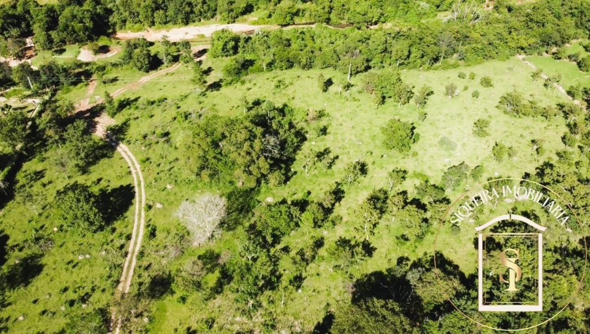 Siqueira Imóveis de Pirenópolis / Goiás / BrasilVenda de Casa em Brasília é na Siqueira Imobiliária de Pirenópolis / Imobiliária de Goiás / Imobiliária do Brasil / Imobiliária do Centro-Oeste / Pirenópolis Imóveis / Imóveis Pirenópolis / Imobiliária de Pirenópolis / Pirenópolis Imobiliária / Goiás Imóveis / Brasil Imóveis / Pirenópolis / Goiás / Brasil / Siqueira Imobiliária de Goiás / Consultoria Imobiliária / Consultor Imobiliário / Venda de Imóveis Pirenópolis / Melhor Imobiliária de Pirenópolis / Venda de pousadas / Venda de terrenos / venda de casas/ Venda de Lotes / Venda de Chácara / Venda de Fazenda / Venda de Apartamentos / Venda de Flat / Venda de Sítio / Brasília Imóveis / Goiânia Imóveis / Imobiliária de Goiânia / Imobiliária de Brasília/ Imobiliária em Pirenópolis / Imobiliária de Pirenópolis / Condomínio Fechado Vaga Fogo / Condomínio Paço da Estalagem / Condomínio Parque da Estalagem / Condomínio Quinta do Sol / Condomínio Fechado Pirenópolis / Cachoeiras Pirenópolis / Restaurante Pirenópolis /Siqueira Imóveis de Pirenópolis / Goiás / BrasilVenda de Casa em Brasília é na Siqueira Imobiliária de Pirenópolis / Imobiliária de Goiás / Imobiliária do Brasil / Imobiliária do Centro-Oeste / Pirenópolis Imóveis / Imóveis Pirenópolis / Imobiliária de Pirenópolis / Pirenópolis Imobiliária / Goiás Imóveis / Brasil Imóveis / Pirenópolis / Goiás / Brasil / Siqueira Imobiliária de Goiás / Consultoria Imobiliária / Consultor Imobiliário / Venda de Imóveis Pirenópolis / Melhor Imobiliária de Pirenópolis / Venda de pousadas / Venda de terrenos / venda de casas/ Venda de Lotes / Venda de Chácara / Venda de Fazenda / Venda de Apartamentos / Venda de Flat / Venda de Sítio / Brasília Imóveis / Goiânia Imóveis / Imobiliária de Goiânia / Imobiliária de Brasília/ Imobiliária em Pirenópolis / Imobiliária de Pirenópolis / Condomínio Fechado Vaga Fogo / Condomínio Paço da Estalagem / Condomínio Parque da Estalagem / Condomínio Quinta do Sol / Condomínio Fechado Pirenópolis / Cachoeiras Pirenópolis / Restaurante Pirenópolis /Siqueira Imóveis de Pirenópolis / Goiás / BrasilVenda de Casa em Brasília é na Siqueira Imobiliária de Pirenópolis / Imobiliária de Goiás / Imobiliária do Brasil / Imobiliária do Centro-Oeste / Pirenópolis Imóveis / Imóveis Pirenópolis / Imobiliária de Pirenópolis / Pirenópolis Imobiliária / Goiás Imóveis / Brasil Imóveis / Pirenópolis / Goiás / Brasil / Siqueira Imobiliária de Goiás / Consultoria Imobiliária / Consultor Imobiliário / Venda de Imóveis Pirenópolis / Melhor Imobiliária de Pirenópolis / Venda de pousadas / Venda de terrenos / venda de casas/ Venda de Lotes / Venda de Chácara / Venda de Fazenda / Venda de Apartamentos / Venda de Flat / Venda de Sítio / Brasília Imóveis / Goiânia Imóveis / Imobiliária de Goiânia / Imobiliária de Brasília/ Imobiliária em Pirenópolis / Imobiliária de Pirenópolis / Condomínio Fechado Vaga Fogo / Condomínio Paço da Estalagem / Condomínio Parque da Estalagem / Condomínio Quinta do Sol / Condomínio Fechado Pirenópolis / Cachoeiras Pirenópolis / Restaurante Pirenópolis /Siqueira Imóveis de Pirenópolis / Goiás / BrasilVenda de Casa em Brasília é na Siqueira Imobiliária de Pirenópolis / Imobiliária de Goiás / Imobiliária do Brasil / Imobiliária do Centro-Oeste / Pirenópolis Imóveis / Imóveis Pirenópolis / Imobiliária de Pirenópolis / Pirenópolis Imobiliária / Goiás Imóveis / Brasil Imóveis / Pirenópolis / Goiás / Brasil / Siqueira Imobiliária de Goiás / Consultoria Imobiliária / Consultor Imobiliário / Venda de Imóveis Pirenópolis / Melhor Imobiliária de Pirenópolis / Venda de pousadas / Venda de terrenos / venda de casas/ Venda de Lotes / Venda de Chácara / Venda de Fazenda / Venda de Apartamentos / Venda de Flat / Venda de Sítio / Brasília Imóveis / Goiânia Imóveis / Imobiliária de Goiânia / Imobiliária de Brasília/ Imobiliária em Pirenópolis / Imobiliária de Pirenópolis / Condomínio Fechado Vaga Fogo / Condomínio Paço da Estalagem / Condomínio Parque da Estalagem / Condomínio Quinta do Sol / Condomínio Fechado Pirenópolis / Cachoeiras Pirenópolis / Restaurante Pirenópolis /