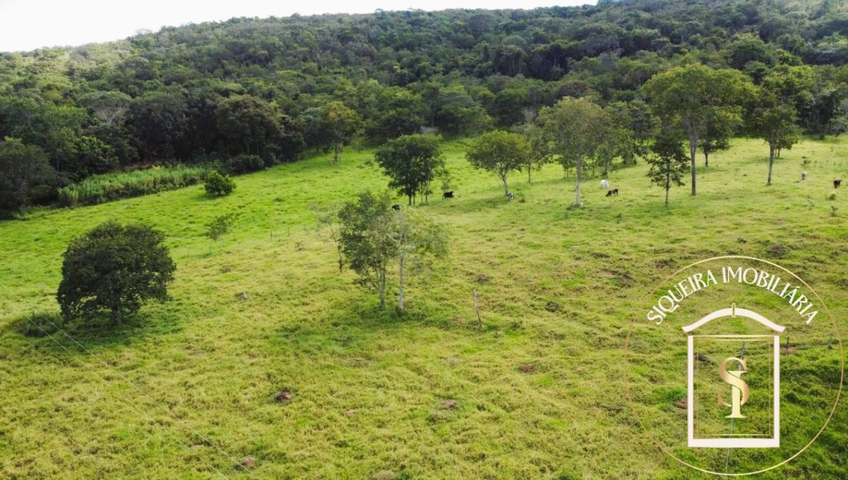 Siqueira Imóveis de Pirenópolis / Goiás / BrasilVenda de Casa em Brasília é na Siqueira Imobiliária de Pirenópolis / Imobiliária de Goiás / Imobiliária do Brasil / Imobiliária do Centro-Oeste / Pirenópolis Imóveis / Imóveis Pirenópolis / Imobiliária de Pirenópolis / Pirenópolis Imobiliária / Goiás Imóveis / Brasil Imóveis / Pirenópolis / Goiás / Brasil / Siqueira Imobiliária de Goiás / Consultoria Imobiliária / Consultor Imobiliário / Venda de Imóveis Pirenópolis / Melhor Imobiliária de Pirenópolis / Venda de pousadas / Venda de terrenos / venda de casas/ Venda de Lotes / Venda de Chácara / Venda de Fazenda / Venda de Apartamentos / Venda de Flat / Venda de Sítio / Brasília Imóveis / Goiânia Imóveis / Imobiliária de Goiânia / Imobiliária de Brasília/ Imobiliária em Pirenópolis / Imobiliária de Pirenópolis / Condomínio Fechado Vaga Fogo / Condomínio Paço da Estalagem / Condomínio Parque da Estalagem / Condomínio Quinta do Sol / Condomínio Fechado Pirenópolis / Cachoeiras Pirenópolis / Restaurante Pirenópolis /Siqueira Imóveis de Pirenópolis / Goiás / BrasilVenda de Casa em Brasília é na Siqueira Imobiliária de Pirenópolis / Imobiliária de Goiás / Imobiliária do Brasil / Imobiliária do Centro-Oeste / Pirenópolis Imóveis / Imóveis Pirenópolis / Imobiliária de Pirenópolis / Pirenópolis Imobiliária / Goiás Imóveis / Brasil Imóveis / Pirenópolis / Goiás / Brasil / Siqueira Imobiliária de Goiás / Consultoria Imobiliária / Consultor Imobiliário / Venda de Imóveis Pirenópolis / Melhor Imobiliária de Pirenópolis / Venda de pousadas / Venda de terrenos / venda de casas/ Venda de Lotes / Venda de Chácara / Venda de Fazenda / Venda de Apartamentos / Venda de Flat / Venda de Sítio / Brasília Imóveis / Goiânia Imóveis / Imobiliária de Goiânia / Imobiliária de Brasília/ Imobiliária em Pirenópolis / Imobiliária de Pirenópolis / Condomínio Fechado Vaga Fogo / Condomínio Paço da Estalagem / Condomínio Parque da Estalagem / Condomínio Quinta do Sol / Condomínio Fechado Pirenópolis / Cachoeiras Pirenópolis / Restaurante Pirenópolis /Siqueira Imóveis de Pirenópolis / Goiás / BrasilVenda de Casa em Brasília é na Siqueira Imobiliária de Pirenópolis / Imobiliária de Goiás / Imobiliária do Brasil / Imobiliária do Centro-Oeste / Pirenópolis Imóveis / Imóveis Pirenópolis / Imobiliária de Pirenópolis / Pirenópolis Imobiliária / Goiás Imóveis / Brasil Imóveis / Pirenópolis / Goiás / Brasil / Siqueira Imobiliária de Goiás / Consultoria Imobiliária / Consultor Imobiliário / Venda de Imóveis Pirenópolis / Melhor Imobiliária de Pirenópolis / Venda de pousadas / Venda de terrenos / venda de casas/ Venda de Lotes / Venda de Chácara / Venda de Fazenda / Venda de Apartamentos / Venda de Flat / Venda de Sítio / Brasília Imóveis / Goiânia Imóveis / Imobiliária de Goiânia / Imobiliária de Brasília/ Imobiliária em Pirenópolis / Imobiliária de Pirenópolis / Condomínio Fechado Vaga Fogo / Condomínio Paço da Estalagem / Condomínio Parque da Estalagem / Condomínio Quinta do Sol / Condomínio Fechado Pirenópolis / Cachoeiras Pirenópolis / Restaurante Pirenópolis /Siqueira Imóveis de Pirenópolis / Goiás / BrasilVenda de Casa em Brasília é na Siqueira Imobiliária de Pirenópolis / Imobiliária de Goiás / Imobiliária do Brasil / Imobiliária do Centro-Oeste / Pirenópolis Imóveis / Imóveis Pirenópolis / Imobiliária de Pirenópolis / Pirenópolis Imobiliária / Goiás Imóveis / Brasil Imóveis / Pirenópolis / Goiás / Brasil / Siqueira Imobiliária de Goiás / Consultoria Imobiliária / Consultor Imobiliário / Venda de Imóveis Pirenópolis / Melhor Imobiliária de Pirenópolis / Venda de pousadas / Venda de terrenos / venda de casas/ Venda de Lotes / Venda de Chácara / Venda de Fazenda / Venda de Apartamentos / Venda de Flat / Venda de Sítio / Brasília Imóveis / Goiânia Imóveis / Imobiliária de Goiânia / Imobiliária de Brasília/ Imobiliária em Pirenópolis / Imobiliária de Pirenópolis / Condomínio Fechado Vaga Fogo / Condomínio Paço da Estalagem / Condomínio Parque da Estalagem / Condomínio Quinta do Sol / Condomínio Fechado Pirenópolis / Cachoeiras Pirenópolis / Restaurante Pirenópolis /