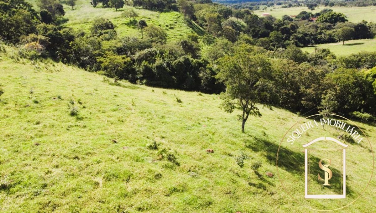 Siqueira Imóveis de Pirenópolis / Goiás / BrasilVenda de Casa em Brasília é na Siqueira Imobiliária de Pirenópolis / Imobiliária de Goiás / Imobiliária do Brasil / Imobiliária do Centro-Oeste / Pirenópolis Imóveis / Imóveis Pirenópolis / Imobiliária de Pirenópolis / Pirenópolis Imobiliária / Goiás Imóveis / Brasil Imóveis / Pirenópolis / Goiás / Brasil / Siqueira Imobiliária de Goiás / Consultoria Imobiliária / Consultor Imobiliário / Venda de Imóveis Pirenópolis / Melhor Imobiliária de Pirenópolis / Venda de pousadas / Venda de terrenos / venda de casas/ Venda de Lotes / Venda de Chácara / Venda de Fazenda / Venda de Apartamentos / Venda de Flat / Venda de Sítio / Brasília Imóveis / Goiânia Imóveis / Imobiliária de Goiânia / Imobiliária de Brasília/ Imobiliária em Pirenópolis / Imobiliária de Pirenópolis / Condomínio Fechado Vaga Fogo / Condomínio Paço da Estalagem / Condomínio Parque da Estalagem / Condomínio Quinta do Sol / Condomínio Fechado Pirenópolis / Cachoeiras Pirenópolis / Restaurante Pirenópolis /Siqueira Imóveis de Pirenópolis / Goiás / BrasilVenda de Casa em Brasília é na Siqueira Imobiliária de Pirenópolis / Imobiliária de Goiás / Imobiliária do Brasil / Imobiliária do Centro-Oeste / Pirenópolis Imóveis / Imóveis Pirenópolis / Imobiliária de Pirenópolis / Pirenópolis Imobiliária / Goiás Imóveis / Brasil Imóveis / Pirenópolis / Goiás / Brasil / Siqueira Imobiliária de Goiás / Consultoria Imobiliária / Consultor Imobiliário / Venda de Imóveis Pirenópolis / Melhor Imobiliária de Pirenópolis / Venda de pousadas / Venda de terrenos / venda de casas/ Venda de Lotes / Venda de Chácara / Venda de Fazenda / Venda de Apartamentos / Venda de Flat / Venda de Sítio / Brasília Imóveis / Goiânia Imóveis / Imobiliária de Goiânia / Imobiliária de Brasília/ Imobiliária em Pirenópolis / Imobiliária de Pirenópolis / Condomínio Fechado Vaga Fogo / Condomínio Paço da Estalagem / Condomínio Parque da Estalagem / Condomínio Quinta do Sol / Condomínio Fechado Pirenópolis / Cachoeiras Pirenópolis / Restaurante Pirenópolis /Siqueira Imóveis de Pirenópolis / Goiás / BrasilVenda de Casa em Brasília é na Siqueira Imobiliária de Pirenópolis / Imobiliária de Goiás / Imobiliária do Brasil / Imobiliária do Centro-Oeste / Pirenópolis Imóveis / Imóveis Pirenópolis / Imobiliária de Pirenópolis / Pirenópolis Imobiliária / Goiás Imóveis / Brasil Imóveis / Pirenópolis / Goiás / Brasil / Siqueira Imobiliária de Goiás / Consultoria Imobiliária / Consultor Imobiliário / Venda de Imóveis Pirenópolis / Melhor Imobiliária de Pirenópolis / Venda de pousadas / Venda de terrenos / venda de casas/ Venda de Lotes / Venda de Chácara / Venda de Fazenda / Venda de Apartamentos / Venda de Flat / Venda de Sítio / Brasília Imóveis / Goiânia Imóveis / Imobiliária de Goiânia / Imobiliária de Brasília/ Imobiliária em Pirenópolis / Imobiliária de Pirenópolis / Condomínio Fechado Vaga Fogo / Condomínio Paço da Estalagem / Condomínio Parque da Estalagem / Condomínio Quinta do Sol / Condomínio Fechado Pirenópolis / Cachoeiras Pirenópolis / Restaurante Pirenópolis /Siqueira Imóveis de Pirenópolis / Goiás / BrasilVenda de Casa em Brasília é na Siqueira Imobiliária de Pirenópolis / Imobiliária de Goiás / Imobiliária do Brasil / Imobiliária do Centro-Oeste / Pirenópolis Imóveis / Imóveis Pirenópolis / Imobiliária de Pirenópolis / Pirenópolis Imobiliária / Goiás Imóveis / Brasil Imóveis / Pirenópolis / Goiás / Brasil / Siqueira Imobiliária de Goiás / Consultoria Imobiliária / Consultor Imobiliário / Venda de Imóveis Pirenópolis / Melhor Imobiliária de Pirenópolis / Venda de pousadas / Venda de terrenos / venda de casas/ Venda de Lotes / Venda de Chácara / Venda de Fazenda / Venda de Apartamentos / Venda de Flat / Venda de Sítio / Brasília Imóveis / Goiânia Imóveis / Imobiliária de Goiânia / Imobiliária de Brasília/ Imobiliária em Pirenópolis / Imobiliária de Pirenópolis / Condomínio Fechado Vaga Fogo / Condomínio Paço da Estalagem / Condomínio Parque da Estalagem / Condomínio Quinta do Sol / Condomínio Fechado Pirenópolis / Cachoeiras Pirenópolis / Restaurante Pirenópolis /