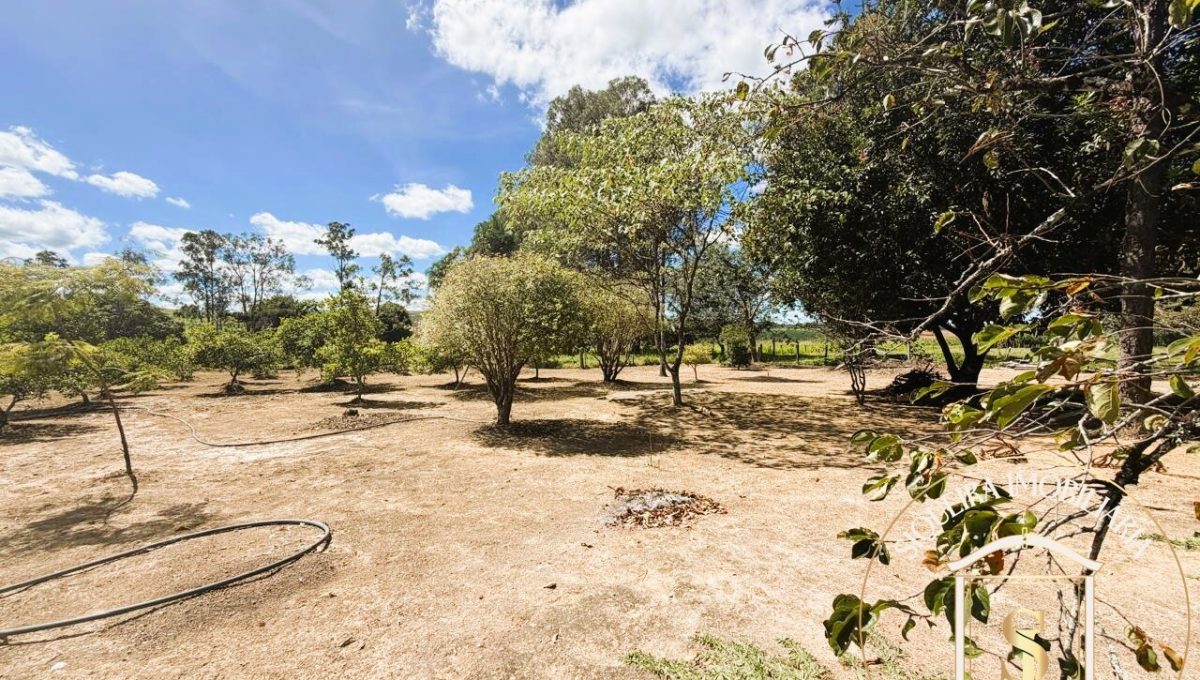 Siqueira Imóveis de Pirenópolis / Goiás / BrasilVenda de Casa em Brasília é na Siqueira Imobiliária de Pirenópolis / Imobiliária de Goiás / Imobiliária do Brasil / Imobiliária do Centro-Oeste / Pirenópolis Imóveis / Imóveis Pirenópolis / Imobiliária de Pirenópolis / Pirenópolis Imobiliária / Goiás Imóveis / Brasil Imóveis / Pirenópolis / Goiás / Brasil / Siqueira Imobiliária de Goiás / Consultoria Imobiliária / Consultor Imobiliário / Venda de Imóveis Pirenópolis / Melhor Imobiliária de Pirenópolis / Venda de pousadas / Venda de terrenos / venda de casas/ Venda de Lotes / Venda de Chácara / Venda de Fazenda / Venda de Apartamentos / Venda de Flat / Venda de Sítio / Brasília Imóveis / Goiânia Imóveis / Imobiliária de Goiânia / Imobiliária de Brasília/ Imobiliária em Pirenópolis / Imobiliária de Pirenópolis / Condomínio Fechado Vaga Fogo / Condomínio Paço da Estalagem / Condomínio Parque da Estalagem / Condomínio Quinta do Sol / Condomínio Fechado Pirenópolis / Cachoeiras Pirenópolis / Restaurante Pirenópolis /Siqueira Imóveis de Pirenópolis / Goiás / BrasilVenda de Casa em Brasília é na Siqueira Imobiliária de Pirenópolis / Imobiliária de Goiás / Imobiliária do Brasil / Imobiliária do Centro-Oeste / Pirenópolis Imóveis / Imóveis Pirenópolis / Imobiliária de Pirenópolis / Pirenópolis Imobiliária / Goiás Imóveis / Brasil Imóveis / Pirenópolis / Goiás / Brasil / Siqueira Imobiliária de Goiás / Consultoria Imobiliária / Consultor Imobiliário / Venda de Imóveis Pirenópolis / Melhor Imobiliária de Pirenópolis / Venda de pousadas / Venda de terrenos / venda de casas/ Venda de Lotes / Venda de Chácara / Venda de Fazenda / Venda de Apartamentos / Venda de Flat / Venda de Sítio / Brasília Imóveis / Goiânia Imóveis / Imobiliária de Goiânia / Imobiliária de Brasília/ Imobiliária em Pirenópolis / Imobiliária de Pirenópolis / Condomínio Fechado Vaga Fogo / Condomínio Paço da Estalagem / Condomínio Parque da Estalagem / Condomínio Quinta do Sol / Condomínio Fechado Pirenópolis / Cachoeiras Pirenópolis / Restaurante Pirenópolis /Siqueira Imóveis de Pirenópolis / Goiás / BrasilVenda de Casa em Brasília é na Siqueira Imobiliária de Pirenópolis / Imobiliária de Goiás / Imobiliária do Brasil / Imobiliária do Centro-Oeste / Pirenópolis Imóveis / Imóveis Pirenópolis / Imobiliária de Pirenópolis / Pirenópolis Imobiliária / Goiás Imóveis / Brasil Imóveis / Pirenópolis / Goiás / Brasil / Siqueira Imobiliária de Goiás / Consultoria Imobiliária / Consultor Imobiliário / Venda de Imóveis Pirenópolis / Melhor Imobiliária de Pirenópolis / Venda de pousadas / Venda de terrenos / venda de casas/ Venda de Lotes / Venda de Chácara / Venda de Fazenda / Venda de Apartamentos / Venda de Flat / Venda de Sítio / Brasília Imóveis / Goiânia Imóveis / Imobiliária de Goiânia / Imobiliária de Brasília/ Imobiliária em Pirenópolis / Imobiliária de Pirenópolis / Condomínio Fechado Vaga Fogo / Condomínio Paço da Estalagem / Condomínio Parque da Estalagem / Condomínio Quinta do Sol / Condomínio Fechado Pirenópolis / Cachoeiras Pirenópolis / Restaurante Pirenópolis /Siqueira Imóveis de Pirenópolis / Goiás / BrasilVenda de Casa em Brasília é na Siqueira Imobiliária de Pirenópolis / Imobiliária de Goiás / Imobiliária do Brasil / Imobiliária do Centro-Oeste / Pirenópolis Imóveis / Imóveis Pirenópolis / Imobiliária de Pirenópolis / Pirenópolis Imobiliária / Goiás Imóveis / Brasil Imóveis / Pirenópolis / Goiás / Brasil / Siqueira Imobiliária de Goiás / Consultoria Imobiliária / Consultor Imobiliário / Venda de Imóveis Pirenópolis / Melhor Imobiliária de Pirenópolis / Venda de pousadas / Venda de terrenos / venda de casas/ Venda de Lotes / Venda de Chácara / Venda de Fazenda / Venda de Apartamentos / Venda de Flat / Venda de Sítio / Brasília Imóveis / Goiânia Imóveis / Imobiliária de Goiânia / Imobiliária de Brasília/ Imobiliária em Pirenópolis / Imobiliária de Pirenópolis / Condomínio Fechado Vaga Fogo / Condomínio Paço da Estalagem / Condomínio Parque da Estalagem / Condomínio Quinta do Sol / Condomínio Fechado Pirenópolis / Cachoeiras Pirenópolis / Restaurante Pirenópolis /