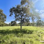 Siqueira Imóveis de Pirenópolis / Goiás / BrasilVenda de Casa em Brasília é na Siqueira Imobiliária de Pirenópolis / Imobiliária de Goiás / Imobiliária do Brasil / Imobiliária do Centro-Oeste / Pirenópolis Imóveis / Imóveis Pirenópolis / Imobiliária de Pirenópolis / Pirenópolis Imobiliária / Goiás Imóveis / Brasil Imóveis / Pirenópolis / Goiás / Brasil / Siqueira Imobiliária de Goiás / Consultoria Imobiliária / Consultor Imobiliário / Venda de Imóveis Pirenópolis / Melhor Imobiliária de Pirenópolis / Venda de pousadas / Venda de terrenos / venda de casas/ Venda de Lotes / Venda de Chácara / Venda de Fazenda / Venda de Apartamentos / Venda de Flat / Venda de Sítio / Brasília Imóveis / Goiânia Imóveis / Imobiliária de Goiânia / Imobiliária de Brasília/ Imobiliária em Pirenópolis / Imobiliária de Pirenópolis / Condomínio Fechado Vaga Fogo / Condomínio Paço da Estalagem / Condomínio Parque da Estalagem / Condomínio Quinta do Sol / Condomínio Fechado Pirenópolis / Cachoeiras Pirenópolis / Restaurante Pirenópolis /Siqueira Imóveis de Pirenópolis / Goiás / BrasilVenda de Casa em Brasília é na Siqueira Imobiliária de Pirenópolis / Imobiliária de Goiás / Imobiliária do Brasil / Imobiliária do Centro-Oeste / Pirenópolis Imóveis / Imóveis Pirenópolis / Imobiliária de Pirenópolis / Pirenópolis Imobiliária / Goiás Imóveis / Brasil Imóveis / Pirenópolis / Goiás / Brasil / Siqueira Imobiliária de Goiás / Consultoria Imobiliária / Consultor Imobiliário / Venda de Imóveis Pirenópolis / Melhor Imobiliária de Pirenópolis / Venda de pousadas / Venda de terrenos / venda de casas/ Venda de Lotes / Venda de Chácara / Venda de Fazenda / Venda de Apartamentos / Venda de Flat / Venda de Sítio / Brasília Imóveis / Goiânia Imóveis / Imobiliária de Goiânia / Imobiliária de Brasília/ Imobiliária em Pirenópolis / Imobiliária de Pirenópolis / Condomínio Fechado Vaga Fogo / Condomínio Paço da Estalagem / Condomínio Parque da Estalagem / Condomínio Quinta do Sol / Condomínio Fechado Pirenópolis / Cachoeiras Pirenópolis / Restaurante Pirenópolis /Siqueira Imóveis de Pirenópolis / Goiás / BrasilVenda de Casa em Brasília é na Siqueira Imobiliária de Pirenópolis / Imobiliária de Goiás / Imobiliária do Brasil / Imobiliária do Centro-Oeste / Pirenópolis Imóveis / Imóveis Pirenópolis / Imobiliária de Pirenópolis / Pirenópolis Imobiliária / Goiás Imóveis / Brasil Imóveis / Pirenópolis / Goiás / Brasil / Siqueira Imobiliária de Goiás / Consultoria Imobiliária / Consultor Imobiliário / Venda de Imóveis Pirenópolis / Melhor Imobiliária de Pirenópolis / Venda de pousadas / Venda de terrenos / venda de casas/ Venda de Lotes / Venda de Chácara / Venda de Fazenda / Venda de Apartamentos / Venda de Flat / Venda de Sítio / Brasília Imóveis / Goiânia Imóveis / Imobiliária de Goiânia / Imobiliária de Brasília/ Imobiliária em Pirenópolis / Imobiliária de Pirenópolis / Condomínio Fechado Vaga Fogo / Condomínio Paço da Estalagem / Condomínio Parque da Estalagem / Condomínio Quinta do Sol / Condomínio Fechado Pirenópolis / Cachoeiras Pirenópolis / Restaurante Pirenópolis /Siqueira Imóveis de Pirenópolis / Goiás / BrasilVenda de Casa em Brasília é na Siqueira Imobiliária de Pirenópolis / Imobiliária de Goiás / Imobiliária do Brasil / Imobiliária do Centro-Oeste / Pirenópolis Imóveis / Imóveis Pirenópolis / Imobiliária de Pirenópolis / Pirenópolis Imobiliária / Goiás Imóveis / Brasil Imóveis / Pirenópolis / Goiás / Brasil / Siqueira Imobiliária de Goiás / Consultoria Imobiliária / Consultor Imobiliário / Venda de Imóveis Pirenópolis / Melhor Imobiliária de Pirenópolis / Venda de pousadas / Venda de terrenos / venda de casas/ Venda de Lotes / Venda de Chácara / Venda de Fazenda / Venda de Apartamentos / Venda de Flat / Venda de Sítio / Brasília Imóveis / Goiânia Imóveis / Imobiliária de Goiânia / Imobiliária de Brasília/ Imobiliária em Pirenópolis / Imobiliária de Pirenópolis / Condomínio Fechado Vaga Fogo / Condomínio Paço da Estalagem / Condomínio Parque da Estalagem / Condomínio Quinta do Sol / Condomínio Fechado Pirenópolis / Cachoeiras Pirenópolis / Restaurante Pirenópolis /