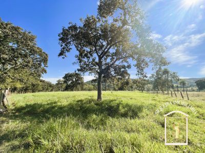 Siqueira Imóveis de Pirenópolis / Goiás / BrasilVenda de Casa em Brasília é na Siqueira Imobiliária de Pirenópolis / Imobiliária de Goiás / Imobiliária do Brasil / Imobiliária do Centro-Oeste / Pirenópolis Imóveis / Imóveis Pirenópolis / Imobiliária de Pirenópolis / Pirenópolis Imobiliária / Goiás Imóveis / Brasil Imóveis / Pirenópolis / Goiás / Brasil / Siqueira Imobiliária de Goiás / Consultoria Imobiliária / Consultor Imobiliário / Venda de Imóveis Pirenópolis / Melhor Imobiliária de Pirenópolis / Venda de pousadas / Venda de terrenos / venda de casas/ Venda de Lotes / Venda de Chácara / Venda de Fazenda / Venda de Apartamentos / Venda de Flat / Venda de Sítio / Brasília Imóveis / Goiânia Imóveis / Imobiliária de Goiânia / Imobiliária de Brasília/ Imobiliária em Pirenópolis / Imobiliária de Pirenópolis / Condomínio Fechado Vaga Fogo / Condomínio Paço da Estalagem / Condomínio Parque da Estalagem / Condomínio Quinta do Sol / Condomínio Fechado Pirenópolis / Cachoeiras Pirenópolis / Restaurante Pirenópolis /Siqueira Imóveis de Pirenópolis / Goiás / BrasilVenda de Casa em Brasília é na Siqueira Imobiliária de Pirenópolis / Imobiliária de Goiás / Imobiliária do Brasil / Imobiliária do Centro-Oeste / Pirenópolis Imóveis / Imóveis Pirenópolis / Imobiliária de Pirenópolis / Pirenópolis Imobiliária / Goiás Imóveis / Brasil Imóveis / Pirenópolis / Goiás / Brasil / Siqueira Imobiliária de Goiás / Consultoria Imobiliária / Consultor Imobiliário / Venda de Imóveis Pirenópolis / Melhor Imobiliária de Pirenópolis / Venda de pousadas / Venda de terrenos / venda de casas/ Venda de Lotes / Venda de Chácara / Venda de Fazenda / Venda de Apartamentos / Venda de Flat / Venda de Sítio / Brasília Imóveis / Goiânia Imóveis / Imobiliária de Goiânia / Imobiliária de Brasília/ Imobiliária em Pirenópolis / Imobiliária de Pirenópolis / Condomínio Fechado Vaga Fogo / Condomínio Paço da Estalagem / Condomínio Parque da Estalagem / Condomínio Quinta do Sol / Condomínio Fechado Pirenópolis / Cachoeiras Pirenópolis / Restaurante Pirenópolis /Siqueira Imóveis de Pirenópolis / Goiás / BrasilVenda de Casa em Brasília é na Siqueira Imobiliária de Pirenópolis / Imobiliária de Goiás / Imobiliária do Brasil / Imobiliária do Centro-Oeste / Pirenópolis Imóveis / Imóveis Pirenópolis / Imobiliária de Pirenópolis / Pirenópolis Imobiliária / Goiás Imóveis / Brasil Imóveis / Pirenópolis / Goiás / Brasil / Siqueira Imobiliária de Goiás / Consultoria Imobiliária / Consultor Imobiliário / Venda de Imóveis Pirenópolis / Melhor Imobiliária de Pirenópolis / Venda de pousadas / Venda de terrenos / venda de casas/ Venda de Lotes / Venda de Chácara / Venda de Fazenda / Venda de Apartamentos / Venda de Flat / Venda de Sítio / Brasília Imóveis / Goiânia Imóveis / Imobiliária de Goiânia / Imobiliária de Brasília/ Imobiliária em Pirenópolis / Imobiliária de Pirenópolis / Condomínio Fechado Vaga Fogo / Condomínio Paço da Estalagem / Condomínio Parque da Estalagem / Condomínio Quinta do Sol / Condomínio Fechado Pirenópolis / Cachoeiras Pirenópolis / Restaurante Pirenópolis /Siqueira Imóveis de Pirenópolis / Goiás / BrasilVenda de Casa em Brasília é na Siqueira Imobiliária de Pirenópolis / Imobiliária de Goiás / Imobiliária do Brasil / Imobiliária do Centro-Oeste / Pirenópolis Imóveis / Imóveis Pirenópolis / Imobiliária de Pirenópolis / Pirenópolis Imobiliária / Goiás Imóveis / Brasil Imóveis / Pirenópolis / Goiás / Brasil / Siqueira Imobiliária de Goiás / Consultoria Imobiliária / Consultor Imobiliário / Venda de Imóveis Pirenópolis / Melhor Imobiliária de Pirenópolis / Venda de pousadas / Venda de terrenos / venda de casas/ Venda de Lotes / Venda de Chácara / Venda de Fazenda / Venda de Apartamentos / Venda de Flat / Venda de Sítio / Brasília Imóveis / Goiânia Imóveis / Imobiliária de Goiânia / Imobiliária de Brasília/ Imobiliária em Pirenópolis / Imobiliária de Pirenópolis / Condomínio Fechado Vaga Fogo / Condomínio Paço da Estalagem / Condomínio Parque da Estalagem / Condomínio Quinta do Sol / Condomínio Fechado Pirenópolis / Cachoeiras Pirenópolis / Restaurante Pirenópolis /