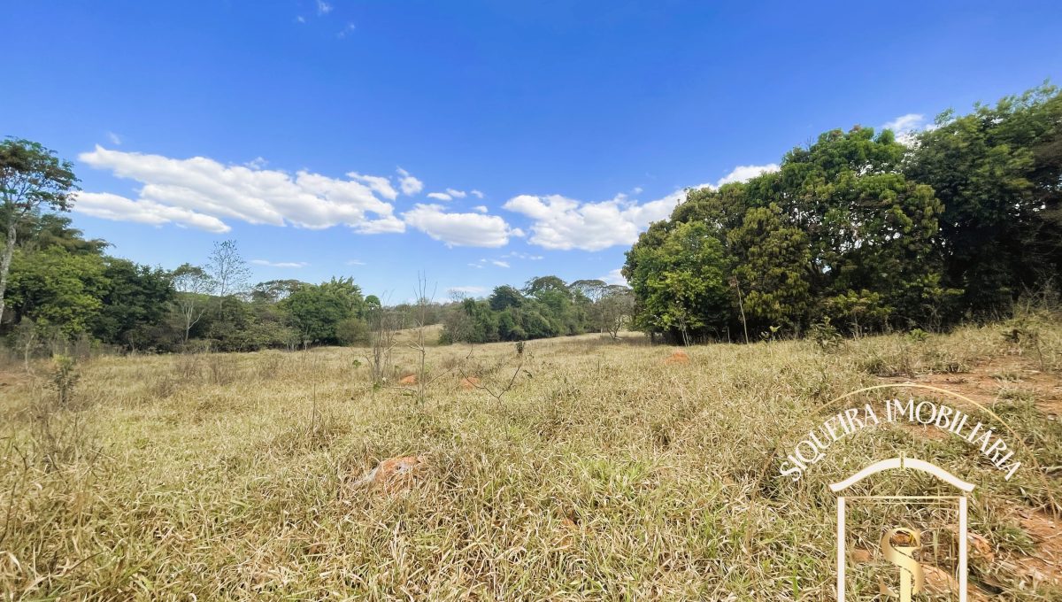 Siqueira Imóveis de Pirenópolis / Goiás / BrasilVenda de Casa em Brasília é na Siqueira Imobiliária de Pirenópolis / Imobiliária de Goiás / Imobiliária do Brasil / Imobiliária do Centro-Oeste / Pirenópolis Imóveis / Imóveis Pirenópolis / Imobiliária de Pirenópolis / Pirenópolis Imobiliária / Goiás Imóveis / Brasil Imóveis / Pirenópolis / Goiás / Brasil / Siqueira Imobiliária de Goiás / Consultoria Imobiliária / Consultor Imobiliário / Venda de Imóveis Pirenópolis / Melhor Imobiliária de Pirenópolis / Venda de pousadas / Venda de terrenos / venda de casas/ Venda de Lotes / Venda de Chácara / Venda de Fazenda / Venda de Apartamentos / Venda de Flat / Venda de Sítio / Brasília Imóveis / Goiânia Imóveis / Imobiliária de Goiânia / Imobiliária de Brasília/ Imobiliária em Pirenópolis / Imobiliária de Pirenópolis / Condomínio Fechado Vaga Fogo / Condomínio Paço da Estalagem / Condomínio Parque da Estalagem / Condomínio Quinta do Sol / Condomínio Fechado Pirenópolis / Cachoeiras Pirenópolis / Restaurante Pirenópolis /Siqueira Imóveis de Pirenópolis / Goiás / BrasilVenda de Casa em Brasília é na Siqueira Imobiliária de Pirenópolis / Imobiliária de Goiás / Imobiliária do Brasil / Imobiliária do Centro-Oeste / Pirenópolis Imóveis / Imóveis Pirenópolis / Imobiliária de Pirenópolis / Pirenópolis Imobiliária / Goiás Imóveis / Brasil Imóveis / Pirenópolis / Goiás / Brasil / Siqueira Imobiliária de Goiás / Consultoria Imobiliária / Consultor Imobiliário / Venda de Imóveis Pirenópolis / Melhor Imobiliária de Pirenópolis / Venda de pousadas / Venda de terrenos / venda de casas/ Venda de Lotes / Venda de Chácara / Venda de Fazenda / Venda de Apartamentos / Venda de Flat / Venda de Sítio / Brasília Imóveis / Goiânia Imóveis / Imobiliária de Goiânia / Imobiliária de Brasília/ Imobiliária em Pirenópolis / Imobiliária de Pirenópolis / Condomínio Fechado Vaga Fogo / Condomínio Paço da Estalagem / Condomínio Parque da Estalagem / Condomínio Quinta do Sol / Condomínio Fechado Pirenópolis / Cachoeiras Pirenópolis / Restaurante Pirenópolis /Siqueira Imóveis de Pirenópolis / Goiás / BrasilVenda de Casa em Brasília é na Siqueira Imobiliária de Pirenópolis / Imobiliária de Goiás / Imobiliária do Brasil / Imobiliária do Centro-Oeste / Pirenópolis Imóveis / Imóveis Pirenópolis / Imobiliária de Pirenópolis / Pirenópolis Imobiliária / Goiás Imóveis / Brasil Imóveis / Pirenópolis / Goiás / Brasil / Siqueira Imobiliária de Goiás / Consultoria Imobiliária / Consultor Imobiliário / Venda de Imóveis Pirenópolis / Melhor Imobiliária de Pirenópolis / Venda de pousadas / Venda de terrenos / venda de casas/ Venda de Lotes / Venda de Chácara / Venda de Fazenda / Venda de Apartamentos / Venda de Flat / Venda de Sítio / Brasília Imóveis / Goiânia Imóveis / Imobiliária de Goiânia / Imobiliária de Brasília/ Imobiliária em Pirenópolis / Imobiliária de Pirenópolis / Condomínio Fechado Vaga Fogo / Condomínio Paço da Estalagem / Condomínio Parque da Estalagem / Condomínio Quinta do Sol / Condomínio Fechado Pirenópolis / Cachoeiras Pirenópolis / Restaurante Pirenópolis /Siqueira Imóveis de Pirenópolis / Goiás / BrasilVenda de Casa em Brasília é na Siqueira Imobiliária de Pirenópolis / Imobiliária de Goiás / Imobiliária do Brasil / Imobiliária do Centro-Oeste / Pirenópolis Imóveis / Imóveis Pirenópolis / Imobiliária de Pirenópolis / Pirenópolis Imobiliária / Goiás Imóveis / Brasil Imóveis / Pirenópolis / Goiás / Brasil / Siqueira Imobiliária de Goiás / Consultoria Imobiliária / Consultor Imobiliário / Venda de Imóveis Pirenópolis / Melhor Imobiliária de Pirenópolis / Venda de pousadas / Venda de terrenos / venda de casas/ Venda de Lotes / Venda de Chácara / Venda de Fazenda / Venda de Apartamentos / Venda de Flat / Venda de Sítio / Brasília Imóveis / Goiânia Imóveis / Imobiliária de Goiânia / Imobiliária de Brasília/ Imobiliária em Pirenópolis / Imobiliária de Pirenópolis / Condomínio Fechado Vaga Fogo / Condomínio Paço da Estalagem / Condomínio Parque da Estalagem / Condomínio Quinta do Sol / Condomínio Fechado Pirenópolis / Cachoeiras Pirenópolis / Restaurante Pirenópolis /