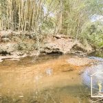 Siqueira Imóveis de Pirenópolis / Goiás / BrasilVenda de Casa em Brasília é na Siqueira Imobiliária de Pirenópolis / Imobiliária de Goiás / Imobiliária do Brasil / Imobiliária do Centro-Oeste / Pirenópolis Imóveis / Imóveis Pirenópolis / Imobiliária de Pirenópolis / Pirenópolis Imobiliária / Goiás Imóveis / Brasil Imóveis / Pirenópolis / Goiás / Brasil / Siqueira Imobiliária de Goiás / Consultoria Imobiliária / Consultor Imobiliário / Venda de Imóveis Pirenópolis / Melhor Imobiliária de Pirenópolis / Venda de pousadas / Venda de terrenos / venda de casas/ Venda de Lotes / Venda de Chácara / Venda de Fazenda / Venda de Apartamentos / Venda de Flat / Venda de Sítio / Brasília Imóveis / Goiânia Imóveis / Imobiliária de Goiânia / Imobiliária de Brasília/ Imobiliária em Pirenópolis / Imobiliária de Pirenópolis / Condomínio Fechado Vaga Fogo / Condomínio Paço da Estalagem / Condomínio Parque da Estalagem / Condomínio Quinta do Sol / Condomínio Fechado Pirenópolis / Cachoeiras Pirenópolis / Restaurante Pirenópolis /Siqueira Imóveis de Pirenópolis / Goiás / BrasilVenda de Casa em Brasília é na Siqueira Imobiliária de Pirenópolis / Imobiliária de Goiás / Imobiliária do Brasil / Imobiliária do Centro-Oeste / Pirenópolis Imóveis / Imóveis Pirenópolis / Imobiliária de Pirenópolis / Pirenópolis Imobiliária / Goiás Imóveis / Brasil Imóveis / Pirenópolis / Goiás / Brasil / Siqueira Imobiliária de Goiás / Consultoria Imobiliária / Consultor Imobiliário / Venda de Imóveis Pirenópolis / Melhor Imobiliária de Pirenópolis / Venda de pousadas / Venda de terrenos / venda de casas/ Venda de Lotes / Venda de Chácara / Venda de Fazenda / Venda de Apartamentos / Venda de Flat / Venda de Sítio / Brasília Imóveis / Goiânia Imóveis / Imobiliária de Goiânia / Imobiliária de Brasília/ Imobiliária em Pirenópolis / Imobiliária de Pirenópolis / Condomínio Fechado Vaga Fogo / Condomínio Paço da Estalagem / Condomínio Parque da Estalagem / Condomínio Quinta do Sol / Condomínio Fechado Pirenópolis / Cachoeiras Pirenópolis / Restaurante Pirenópolis /Siqueira Imóveis de Pirenópolis / Goiás / BrasilVenda de Casa em Brasília é na Siqueira Imobiliária de Pirenópolis / Imobiliária de Goiás / Imobiliária do Brasil / Imobiliária do Centro-Oeste / Pirenópolis Imóveis / Imóveis Pirenópolis / Imobiliária de Pirenópolis / Pirenópolis Imobiliária / Goiás Imóveis / Brasil Imóveis / Pirenópolis / Goiás / Brasil / Siqueira Imobiliária de Goiás / Consultoria Imobiliária / Consultor Imobiliário / Venda de Imóveis Pirenópolis / Melhor Imobiliária de Pirenópolis / Venda de pousadas / Venda de terrenos / venda de casas/ Venda de Lotes / Venda de Chácara / Venda de Fazenda / Venda de Apartamentos / Venda de Flat / Venda de Sítio / Brasília Imóveis / Goiânia Imóveis / Imobiliária de Goiânia / Imobiliária de Brasília/ Imobiliária em Pirenópolis / Imobiliária de Pirenópolis / Condomínio Fechado Vaga Fogo / Condomínio Paço da Estalagem / Condomínio Parque da Estalagem / Condomínio Quinta do Sol / Condomínio Fechado Pirenópolis / Cachoeiras Pirenópolis / Restaurante Pirenópolis /Siqueira Imóveis de Pirenópolis / Goiás / BrasilVenda de Casa em Brasília é na Siqueira Imobiliária de Pirenópolis / Imobiliária de Goiás / Imobiliária do Brasil / Imobiliária do Centro-Oeste / Pirenópolis Imóveis / Imóveis Pirenópolis / Imobiliária de Pirenópolis / Pirenópolis Imobiliária / Goiás Imóveis / Brasil Imóveis / Pirenópolis / Goiás / Brasil / Siqueira Imobiliária de Goiás / Consultoria Imobiliária / Consultor Imobiliário / Venda de Imóveis Pirenópolis / Melhor Imobiliária de Pirenópolis / Venda de pousadas / Venda de terrenos / venda de casas/ Venda de Lotes / Venda de Chácara / Venda de Fazenda / Venda de Apartamentos / Venda de Flat / Venda de Sítio / Brasília Imóveis / Goiânia Imóveis / Imobiliária de Goiânia / Imobiliária de Brasília/ Imobiliária em Pirenópolis / Imobiliária de Pirenópolis / Condomínio Fechado Vaga Fogo / Condomínio Paço da Estalagem / Condomínio Parque da Estalagem / Condomínio Quinta do Sol / Condomínio Fechado Pirenópolis / Cachoeiras Pirenópolis / Restaurante Pirenópolis /