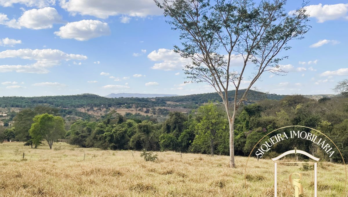 Siqueira Imóveis de Pirenópolis / Goiás / BrasilVenda de Casa em Brasília é na Siqueira Imobiliária de Pirenópolis / Imobiliária de Goiás / Imobiliária do Brasil / Imobiliária do Centro-Oeste / Pirenópolis Imóveis / Imóveis Pirenópolis / Imobiliária de Pirenópolis / Pirenópolis Imobiliária / Goiás Imóveis / Brasil Imóveis / Pirenópolis / Goiás / Brasil / Siqueira Imobiliária de Goiás / Consultoria Imobiliária / Consultor Imobiliário / Venda de Imóveis Pirenópolis / Melhor Imobiliária de Pirenópolis / Venda de pousadas / Venda de terrenos / venda de casas/ Venda de Lotes / Venda de Chácara / Venda de Fazenda / Venda de Apartamentos / Venda de Flat / Venda de Sítio / Brasília Imóveis / Goiânia Imóveis / Imobiliária de Goiânia / Imobiliária de Brasília/ Imobiliária em Pirenópolis / Imobiliária de Pirenópolis / Condomínio Fechado Vaga Fogo / Condomínio Paço da Estalagem / Condomínio Parque da Estalagem / Condomínio Quinta do Sol / Condomínio Fechado Pirenópolis / Cachoeiras Pirenópolis / Restaurante Pirenópolis /Siqueira Imóveis de Pirenópolis / Goiás / BrasilVenda de Casa em Brasília é na Siqueira Imobiliária de Pirenópolis / Imobiliária de Goiás / Imobiliária do Brasil / Imobiliária do Centro-Oeste / Pirenópolis Imóveis / Imóveis Pirenópolis / Imobiliária de Pirenópolis / Pirenópolis Imobiliária / Goiás Imóveis / Brasil Imóveis / Pirenópolis / Goiás / Brasil / Siqueira Imobiliária de Goiás / Consultoria Imobiliária / Consultor Imobiliário / Venda de Imóveis Pirenópolis / Melhor Imobiliária de Pirenópolis / Venda de pousadas / Venda de terrenos / venda de casas/ Venda de Lotes / Venda de Chácara / Venda de Fazenda / Venda de Apartamentos / Venda de Flat / Venda de Sítio / Brasília Imóveis / Goiânia Imóveis / Imobiliária de Goiânia / Imobiliária de Brasília/ Imobiliária em Pirenópolis / Imobiliária de Pirenópolis / Condomínio Fechado Vaga Fogo / Condomínio Paço da Estalagem / Condomínio Parque da Estalagem / Condomínio Quinta do Sol / Condomínio Fechado Pirenópolis / Cachoeiras Pirenópolis / Restaurante Pirenópolis /Siqueira Imóveis de Pirenópolis / Goiás / BrasilVenda de Casa em Brasília é na Siqueira Imobiliária de Pirenópolis / Imobiliária de Goiás / Imobiliária do Brasil / Imobiliária do Centro-Oeste / Pirenópolis Imóveis / Imóveis Pirenópolis / Imobiliária de Pirenópolis / Pirenópolis Imobiliária / Goiás Imóveis / Brasil Imóveis / Pirenópolis / Goiás / Brasil / Siqueira Imobiliária de Goiás / Consultoria Imobiliária / Consultor Imobiliário / Venda de Imóveis Pirenópolis / Melhor Imobiliária de Pirenópolis / Venda de pousadas / Venda de terrenos / venda de casas/ Venda de Lotes / Venda de Chácara / Venda de Fazenda / Venda de Apartamentos / Venda de Flat / Venda de Sítio / Brasília Imóveis / Goiânia Imóveis / Imobiliária de Goiânia / Imobiliária de Brasília/ Imobiliária em Pirenópolis / Imobiliária de Pirenópolis / Condomínio Fechado Vaga Fogo / Condomínio Paço da Estalagem / Condomínio Parque da Estalagem / Condomínio Quinta do Sol / Condomínio Fechado Pirenópolis / Cachoeiras Pirenópolis / Restaurante Pirenópolis /Siqueira Imóveis de Pirenópolis / Goiás / BrasilVenda de Casa em Brasília é na Siqueira Imobiliária de Pirenópolis / Imobiliária de Goiás / Imobiliária do Brasil / Imobiliária do Centro-Oeste / Pirenópolis Imóveis / Imóveis Pirenópolis / Imobiliária de Pirenópolis / Pirenópolis Imobiliária / Goiás Imóveis / Brasil Imóveis / Pirenópolis / Goiás / Brasil / Siqueira Imobiliária de Goiás / Consultoria Imobiliária / Consultor Imobiliário / Venda de Imóveis Pirenópolis / Melhor Imobiliária de Pirenópolis / Venda de pousadas / Venda de terrenos / venda de casas/ Venda de Lotes / Venda de Chácara / Venda de Fazenda / Venda de Apartamentos / Venda de Flat / Venda de Sítio / Brasília Imóveis / Goiânia Imóveis / Imobiliária de Goiânia / Imobiliária de Brasília/ Imobiliária em Pirenópolis / Imobiliária de Pirenópolis / Condomínio Fechado Vaga Fogo / Condomínio Paço da Estalagem / Condomínio Parque da Estalagem / Condomínio Quinta do Sol / Condomínio Fechado Pirenópolis / Cachoeiras Pirenópolis / Restaurante Pirenópolis /