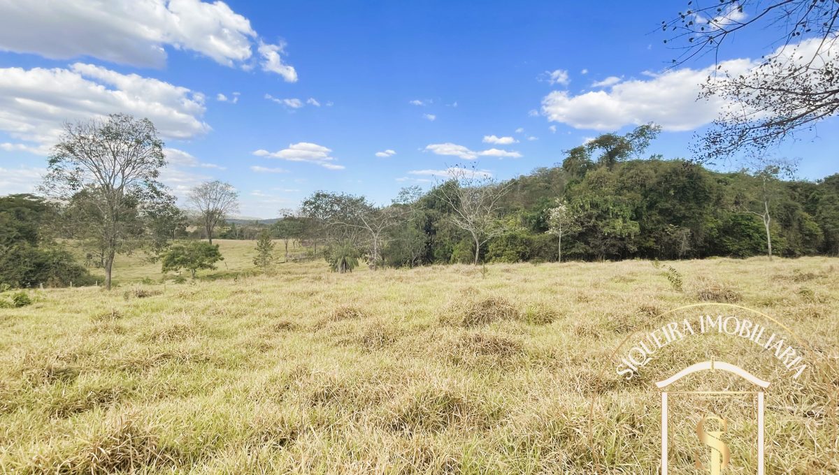 Siqueira Imóveis de Pirenópolis / Goiás / BrasilVenda de Casa em Brasília é na Siqueira Imobiliária de Pirenópolis / Imobiliária de Goiás / Imobiliária do Brasil / Imobiliária do Centro-Oeste / Pirenópolis Imóveis / Imóveis Pirenópolis / Imobiliária de Pirenópolis / Pirenópolis Imobiliária / Goiás Imóveis / Brasil Imóveis / Pirenópolis / Goiás / Brasil / Siqueira Imobiliária de Goiás / Consultoria Imobiliária / Consultor Imobiliário / Venda de Imóveis Pirenópolis / Melhor Imobiliária de Pirenópolis / Venda de pousadas / Venda de terrenos / venda de casas/ Venda de Lotes / Venda de Chácara / Venda de Fazenda / Venda de Apartamentos / Venda de Flat / Venda de Sítio / Brasília Imóveis / Goiânia Imóveis / Imobiliária de Goiânia / Imobiliária de Brasília/ Imobiliária em Pirenópolis / Imobiliária de Pirenópolis / Condomínio Fechado Vaga Fogo / Condomínio Paço da Estalagem / Condomínio Parque da Estalagem / Condomínio Quinta do Sol / Condomínio Fechado Pirenópolis / Cachoeiras Pirenópolis / Restaurante Pirenópolis /Siqueira Imóveis de Pirenópolis / Goiás / BrasilVenda de Casa em Brasília é na Siqueira Imobiliária de Pirenópolis / Imobiliária de Goiás / Imobiliária do Brasil / Imobiliária do Centro-Oeste / Pirenópolis Imóveis / Imóveis Pirenópolis / Imobiliária de Pirenópolis / Pirenópolis Imobiliária / Goiás Imóveis / Brasil Imóveis / Pirenópolis / Goiás / Brasil / Siqueira Imobiliária de Goiás / Consultoria Imobiliária / Consultor Imobiliário / Venda de Imóveis Pirenópolis / Melhor Imobiliária de Pirenópolis / Venda de pousadas / Venda de terrenos / venda de casas/ Venda de Lotes / Venda de Chácara / Venda de Fazenda / Venda de Apartamentos / Venda de Flat / Venda de Sítio / Brasília Imóveis / Goiânia Imóveis / Imobiliária de Goiânia / Imobiliária de Brasília/ Imobiliária em Pirenópolis / Imobiliária de Pirenópolis / Condomínio Fechado Vaga Fogo / Condomínio Paço da Estalagem / Condomínio Parque da Estalagem / Condomínio Quinta do Sol / Condomínio Fechado Pirenópolis / Cachoeiras Pirenópolis / Restaurante Pirenópolis /Siqueira Imóveis de Pirenópolis / Goiás / BrasilVenda de Casa em Brasília é na Siqueira Imobiliária de Pirenópolis / Imobiliária de Goiás / Imobiliária do Brasil / Imobiliária do Centro-Oeste / Pirenópolis Imóveis / Imóveis Pirenópolis / Imobiliária de Pirenópolis / Pirenópolis Imobiliária / Goiás Imóveis / Brasil Imóveis / Pirenópolis / Goiás / Brasil / Siqueira Imobiliária de Goiás / Consultoria Imobiliária / Consultor Imobiliário / Venda de Imóveis Pirenópolis / Melhor Imobiliária de Pirenópolis / Venda de pousadas / Venda de terrenos / venda de casas/ Venda de Lotes / Venda de Chácara / Venda de Fazenda / Venda de Apartamentos / Venda de Flat / Venda de Sítio / Brasília Imóveis / Goiânia Imóveis / Imobiliária de Goiânia / Imobiliária de Brasília/ Imobiliária em Pirenópolis / Imobiliária de Pirenópolis / Condomínio Fechado Vaga Fogo / Condomínio Paço da Estalagem / Condomínio Parque da Estalagem / Condomínio Quinta do Sol / Condomínio Fechado Pirenópolis / Cachoeiras Pirenópolis / Restaurante Pirenópolis /Siqueira Imóveis de Pirenópolis / Goiás / BrasilVenda de Casa em Brasília é na Siqueira Imobiliária de Pirenópolis / Imobiliária de Goiás / Imobiliária do Brasil / Imobiliária do Centro-Oeste / Pirenópolis Imóveis / Imóveis Pirenópolis / Imobiliária de Pirenópolis / Pirenópolis Imobiliária / Goiás Imóveis / Brasil Imóveis / Pirenópolis / Goiás / Brasil / Siqueira Imobiliária de Goiás / Consultoria Imobiliária / Consultor Imobiliário / Venda de Imóveis Pirenópolis / Melhor Imobiliária de Pirenópolis / Venda de pousadas / Venda de terrenos / venda de casas/ Venda de Lotes / Venda de Chácara / Venda de Fazenda / Venda de Apartamentos / Venda de Flat / Venda de Sítio / Brasília Imóveis / Goiânia Imóveis / Imobiliária de Goiânia / Imobiliária de Brasília/ Imobiliária em Pirenópolis / Imobiliária de Pirenópolis / Condomínio Fechado Vaga Fogo / Condomínio Paço da Estalagem / Condomínio Parque da Estalagem / Condomínio Quinta do Sol / Condomínio Fechado Pirenópolis / Cachoeiras Pirenópolis / Restaurante Pirenópolis /