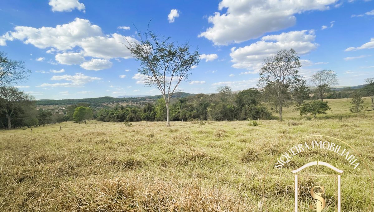 Siqueira Imóveis de Pirenópolis / Goiás / BrasilVenda de Casa em Brasília é na Siqueira Imobiliária de Pirenópolis / Imobiliária de Goiás / Imobiliária do Brasil / Imobiliária do Centro-Oeste / Pirenópolis Imóveis / Imóveis Pirenópolis / Imobiliária de Pirenópolis / Pirenópolis Imobiliária / Goiás Imóveis / Brasil Imóveis / Pirenópolis / Goiás / Brasil / Siqueira Imobiliária de Goiás / Consultoria Imobiliária / Consultor Imobiliário / Venda de Imóveis Pirenópolis / Melhor Imobiliária de Pirenópolis / Venda de pousadas / Venda de terrenos / venda de casas/ Venda de Lotes / Venda de Chácara / Venda de Fazenda / Venda de Apartamentos / Venda de Flat / Venda de Sítio / Brasília Imóveis / Goiânia Imóveis / Imobiliária de Goiânia / Imobiliária de Brasília/ Imobiliária em Pirenópolis / Imobiliária de Pirenópolis / Condomínio Fechado Vaga Fogo / Condomínio Paço da Estalagem / Condomínio Parque da Estalagem / Condomínio Quinta do Sol / Condomínio Fechado Pirenópolis / Cachoeiras Pirenópolis / Restaurante Pirenópolis /Siqueira Imóveis de Pirenópolis / Goiás / BrasilVenda de Casa em Brasília é na Siqueira Imobiliária de Pirenópolis / Imobiliária de Goiás / Imobiliária do Brasil / Imobiliária do Centro-Oeste / Pirenópolis Imóveis / Imóveis Pirenópolis / Imobiliária de Pirenópolis / Pirenópolis Imobiliária / Goiás Imóveis / Brasil Imóveis / Pirenópolis / Goiás / Brasil / Siqueira Imobiliária de Goiás / Consultoria Imobiliária / Consultor Imobiliário / Venda de Imóveis Pirenópolis / Melhor Imobiliária de Pirenópolis / Venda de pousadas / Venda de terrenos / venda de casas/ Venda de Lotes / Venda de Chácara / Venda de Fazenda / Venda de Apartamentos / Venda de Flat / Venda de Sítio / Brasília Imóveis / Goiânia Imóveis / Imobiliária de Goiânia / Imobiliária de Brasília/ Imobiliária em Pirenópolis / Imobiliária de Pirenópolis / Condomínio Fechado Vaga Fogo / Condomínio Paço da Estalagem / Condomínio Parque da Estalagem / Condomínio Quinta do Sol / Condomínio Fechado Pirenópolis / Cachoeiras Pirenópolis / Restaurante Pirenópolis /Siqueira Imóveis de Pirenópolis / Goiás / BrasilVenda de Casa em Brasília é na Siqueira Imobiliária de Pirenópolis / Imobiliária de Goiás / Imobiliária do Brasil / Imobiliária do Centro-Oeste / Pirenópolis Imóveis / Imóveis Pirenópolis / Imobiliária de Pirenópolis / Pirenópolis Imobiliária / Goiás Imóveis / Brasil Imóveis / Pirenópolis / Goiás / Brasil / Siqueira Imobiliária de Goiás / Consultoria Imobiliária / Consultor Imobiliário / Venda de Imóveis Pirenópolis / Melhor Imobiliária de Pirenópolis / Venda de pousadas / Venda de terrenos / venda de casas/ Venda de Lotes / Venda de Chácara / Venda de Fazenda / Venda de Apartamentos / Venda de Flat / Venda de Sítio / Brasília Imóveis / Goiânia Imóveis / Imobiliária de Goiânia / Imobiliária de Brasília/ Imobiliária em Pirenópolis / Imobiliária de Pirenópolis / Condomínio Fechado Vaga Fogo / Condomínio Paço da Estalagem / Condomínio Parque da Estalagem / Condomínio Quinta do Sol / Condomínio Fechado Pirenópolis / Cachoeiras Pirenópolis / Restaurante Pirenópolis /Siqueira Imóveis de Pirenópolis / Goiás / BrasilVenda de Casa em Brasília é na Siqueira Imobiliária de Pirenópolis / Imobiliária de Goiás / Imobiliária do Brasil / Imobiliária do Centro-Oeste / Pirenópolis Imóveis / Imóveis Pirenópolis / Imobiliária de Pirenópolis / Pirenópolis Imobiliária / Goiás Imóveis / Brasil Imóveis / Pirenópolis / Goiás / Brasil / Siqueira Imobiliária de Goiás / Consultoria Imobiliária / Consultor Imobiliário / Venda de Imóveis Pirenópolis / Melhor Imobiliária de Pirenópolis / Venda de pousadas / Venda de terrenos / venda de casas/ Venda de Lotes / Venda de Chácara / Venda de Fazenda / Venda de Apartamentos / Venda de Flat / Venda de Sítio / Brasília Imóveis / Goiânia Imóveis / Imobiliária de Goiânia / Imobiliária de Brasília/ Imobiliária em Pirenópolis / Imobiliária de Pirenópolis / Condomínio Fechado Vaga Fogo / Condomínio Paço da Estalagem / Condomínio Parque da Estalagem / Condomínio Quinta do Sol / Condomínio Fechado Pirenópolis / Cachoeiras Pirenópolis / Restaurante Pirenópolis /