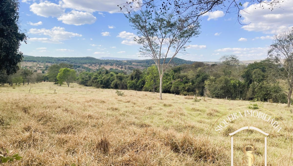 Siqueira Imóveis de Pirenópolis / Goiás / BrasilVenda de Casa em Brasília é na Siqueira Imobiliária de Pirenópolis / Imobiliária de Goiás / Imobiliária do Brasil / Imobiliária do Centro-Oeste / Pirenópolis Imóveis / Imóveis Pirenópolis / Imobiliária de Pirenópolis / Pirenópolis Imobiliária / Goiás Imóveis / Brasil Imóveis / Pirenópolis / Goiás / Brasil / Siqueira Imobiliária de Goiás / Consultoria Imobiliária / Consultor Imobiliário / Venda de Imóveis Pirenópolis / Melhor Imobiliária de Pirenópolis / Venda de pousadas / Venda de terrenos / venda de casas/ Venda de Lotes / Venda de Chácara / Venda de Fazenda / Venda de Apartamentos / Venda de Flat / Venda de Sítio / Brasília Imóveis / Goiânia Imóveis / Imobiliária de Goiânia / Imobiliária de Brasília/ Imobiliária em Pirenópolis / Imobiliária de Pirenópolis / Condomínio Fechado Vaga Fogo / Condomínio Paço da Estalagem / Condomínio Parque da Estalagem / Condomínio Quinta do Sol / Condomínio Fechado Pirenópolis / Cachoeiras Pirenópolis / Restaurante Pirenópolis /Siqueira Imóveis de Pirenópolis / Goiás / BrasilVenda de Casa em Brasília é na Siqueira Imobiliária de Pirenópolis / Imobiliária de Goiás / Imobiliária do Brasil / Imobiliária do Centro-Oeste / Pirenópolis Imóveis / Imóveis Pirenópolis / Imobiliária de Pirenópolis / Pirenópolis Imobiliária / Goiás Imóveis / Brasil Imóveis / Pirenópolis / Goiás / Brasil / Siqueira Imobiliária de Goiás / Consultoria Imobiliária / Consultor Imobiliário / Venda de Imóveis Pirenópolis / Melhor Imobiliária de Pirenópolis / Venda de pousadas / Venda de terrenos / venda de casas/ Venda de Lotes / Venda de Chácara / Venda de Fazenda / Venda de Apartamentos / Venda de Flat / Venda de Sítio / Brasília Imóveis / Goiânia Imóveis / Imobiliária de Goiânia / Imobiliária de Brasília/ Imobiliária em Pirenópolis / Imobiliária de Pirenópolis / Condomínio Fechado Vaga Fogo / Condomínio Paço da Estalagem / Condomínio Parque da Estalagem / Condomínio Quinta do Sol / Condomínio Fechado Pirenópolis / Cachoeiras Pirenópolis / Restaurante Pirenópolis /Siqueira Imóveis de Pirenópolis / Goiás / BrasilVenda de Casa em Brasília é na Siqueira Imobiliária de Pirenópolis / Imobiliária de Goiás / Imobiliária do Brasil / Imobiliária do Centro-Oeste / Pirenópolis Imóveis / Imóveis Pirenópolis / Imobiliária de Pirenópolis / Pirenópolis Imobiliária / Goiás Imóveis / Brasil Imóveis / Pirenópolis / Goiás / Brasil / Siqueira Imobiliária de Goiás / Consultoria Imobiliária / Consultor Imobiliário / Venda de Imóveis Pirenópolis / Melhor Imobiliária de Pirenópolis / Venda de pousadas / Venda de terrenos / venda de casas/ Venda de Lotes / Venda de Chácara / Venda de Fazenda / Venda de Apartamentos / Venda de Flat / Venda de Sítio / Brasília Imóveis / Goiânia Imóveis / Imobiliária de Goiânia / Imobiliária de Brasília/ Imobiliária em Pirenópolis / Imobiliária de Pirenópolis / Condomínio Fechado Vaga Fogo / Condomínio Paço da Estalagem / Condomínio Parque da Estalagem / Condomínio Quinta do Sol / Condomínio Fechado Pirenópolis / Cachoeiras Pirenópolis / Restaurante Pirenópolis /Siqueira Imóveis de Pirenópolis / Goiás / BrasilVenda de Casa em Brasília é na Siqueira Imobiliária de Pirenópolis / Imobiliária de Goiás / Imobiliária do Brasil / Imobiliária do Centro-Oeste / Pirenópolis Imóveis / Imóveis Pirenópolis / Imobiliária de Pirenópolis / Pirenópolis Imobiliária / Goiás Imóveis / Brasil Imóveis / Pirenópolis / Goiás / Brasil / Siqueira Imobiliária de Goiás / Consultoria Imobiliária / Consultor Imobiliário / Venda de Imóveis Pirenópolis / Melhor Imobiliária de Pirenópolis / Venda de pousadas / Venda de terrenos / venda de casas/ Venda de Lotes / Venda de Chácara / Venda de Fazenda / Venda de Apartamentos / Venda de Flat / Venda de Sítio / Brasília Imóveis / Goiânia Imóveis / Imobiliária de Goiânia / Imobiliária de Brasília/ Imobiliária em Pirenópolis / Imobiliária de Pirenópolis / Condomínio Fechado Vaga Fogo / Condomínio Paço da Estalagem / Condomínio Parque da Estalagem / Condomínio Quinta do Sol / Condomínio Fechado Pirenópolis / Cachoeiras Pirenópolis / Restaurante Pirenópolis /