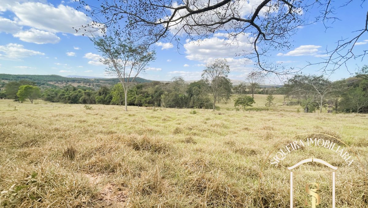 Siqueira Imóveis de Pirenópolis / Goiás / BrasilVenda de Casa em Brasília é na Siqueira Imobiliária de Pirenópolis / Imobiliária de Goiás / Imobiliária do Brasil / Imobiliária do Centro-Oeste / Pirenópolis Imóveis / Imóveis Pirenópolis / Imobiliária de Pirenópolis / Pirenópolis Imobiliária / Goiás Imóveis / Brasil Imóveis / Pirenópolis / Goiás / Brasil / Siqueira Imobiliária de Goiás / Consultoria Imobiliária / Consultor Imobiliário / Venda de Imóveis Pirenópolis / Melhor Imobiliária de Pirenópolis / Venda de pousadas / Venda de terrenos / venda de casas/ Venda de Lotes / Venda de Chácara / Venda de Fazenda / Venda de Apartamentos / Venda de Flat / Venda de Sítio / Brasília Imóveis / Goiânia Imóveis / Imobiliária de Goiânia / Imobiliária de Brasília/ Imobiliária em Pirenópolis / Imobiliária de Pirenópolis / Condomínio Fechado Vaga Fogo / Condomínio Paço da Estalagem / Condomínio Parque da Estalagem / Condomínio Quinta do Sol / Condomínio Fechado Pirenópolis / Cachoeiras Pirenópolis / Restaurante Pirenópolis /Siqueira Imóveis de Pirenópolis / Goiás / BrasilVenda de Casa em Brasília é na Siqueira Imobiliária de Pirenópolis / Imobiliária de Goiás / Imobiliária do Brasil / Imobiliária do Centro-Oeste / Pirenópolis Imóveis / Imóveis Pirenópolis / Imobiliária de Pirenópolis / Pirenópolis Imobiliária / Goiás Imóveis / Brasil Imóveis / Pirenópolis / Goiás / Brasil / Siqueira Imobiliária de Goiás / Consultoria Imobiliária / Consultor Imobiliário / Venda de Imóveis Pirenópolis / Melhor Imobiliária de Pirenópolis / Venda de pousadas / Venda de terrenos / venda de casas/ Venda de Lotes / Venda de Chácara / Venda de Fazenda / Venda de Apartamentos / Venda de Flat / Venda de Sítio / Brasília Imóveis / Goiânia Imóveis / Imobiliária de Goiânia / Imobiliária de Brasília/ Imobiliária em Pirenópolis / Imobiliária de Pirenópolis / Condomínio Fechado Vaga Fogo / Condomínio Paço da Estalagem / Condomínio Parque da Estalagem / Condomínio Quinta do Sol / Condomínio Fechado Pirenópolis / Cachoeiras Pirenópolis / Restaurante Pirenópolis /Siqueira Imóveis de Pirenópolis / Goiás / BrasilVenda de Casa em Brasília é na Siqueira Imobiliária de Pirenópolis / Imobiliária de Goiás / Imobiliária do Brasil / Imobiliária do Centro-Oeste / Pirenópolis Imóveis / Imóveis Pirenópolis / Imobiliária de Pirenópolis / Pirenópolis Imobiliária / Goiás Imóveis / Brasil Imóveis / Pirenópolis / Goiás / Brasil / Siqueira Imobiliária de Goiás / Consultoria Imobiliária / Consultor Imobiliário / Venda de Imóveis Pirenópolis / Melhor Imobiliária de Pirenópolis / Venda de pousadas / Venda de terrenos / venda de casas/ Venda de Lotes / Venda de Chácara / Venda de Fazenda / Venda de Apartamentos / Venda de Flat / Venda de Sítio / Brasília Imóveis / Goiânia Imóveis / Imobiliária de Goiânia / Imobiliária de Brasília/ Imobiliária em Pirenópolis / Imobiliária de Pirenópolis / Condomínio Fechado Vaga Fogo / Condomínio Paço da Estalagem / Condomínio Parque da Estalagem / Condomínio Quinta do Sol / Condomínio Fechado Pirenópolis / Cachoeiras Pirenópolis / Restaurante Pirenópolis /Siqueira Imóveis de Pirenópolis / Goiás / BrasilVenda de Casa em Brasília é na Siqueira Imobiliária de Pirenópolis / Imobiliária de Goiás / Imobiliária do Brasil / Imobiliária do Centro-Oeste / Pirenópolis Imóveis / Imóveis Pirenópolis / Imobiliária de Pirenópolis / Pirenópolis Imobiliária / Goiás Imóveis / Brasil Imóveis / Pirenópolis / Goiás / Brasil / Siqueira Imobiliária de Goiás / Consultoria Imobiliária / Consultor Imobiliário / Venda de Imóveis Pirenópolis / Melhor Imobiliária de Pirenópolis / Venda de pousadas / Venda de terrenos / venda de casas/ Venda de Lotes / Venda de Chácara / Venda de Fazenda / Venda de Apartamentos / Venda de Flat / Venda de Sítio / Brasília Imóveis / Goiânia Imóveis / Imobiliária de Goiânia / Imobiliária de Brasília/ Imobiliária em Pirenópolis / Imobiliária de Pirenópolis / Condomínio Fechado Vaga Fogo / Condomínio Paço da Estalagem / Condomínio Parque da Estalagem / Condomínio Quinta do Sol / Condomínio Fechado Pirenópolis / Cachoeiras Pirenópolis / Restaurante Pirenópolis /