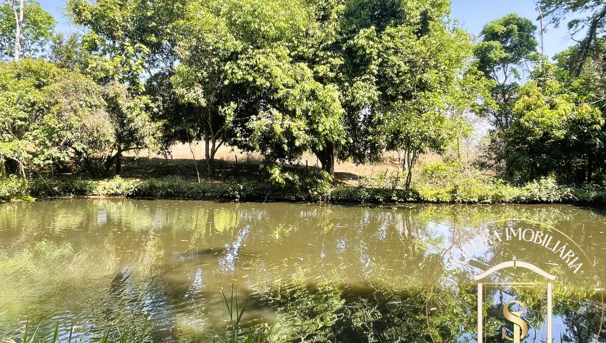 Siqueira Imóveis de Pirenópolis / Goiás / BrasilVenda de Casa em Brasília é na Siqueira Imobiliária de Pirenópolis / Imobiliária de Goiás / Imobiliária do Brasil / Imobiliária do Centro-Oeste / Pirenópolis Imóveis / Imóveis Pirenópolis / Imobiliária de Pirenópolis / Pirenópolis Imobiliária / Goiás Imóveis / Brasil Imóveis / Pirenópolis / Goiás / Brasil / Siqueira Imobiliária de Goiás / Consultoria Imobiliária / Consultor Imobiliário / Venda de Imóveis Pirenópolis / Melhor Imobiliária de Pirenópolis / Venda de pousadas / Venda de terrenos / venda de casas/ Venda de Lotes / Venda de Chácara / Venda de Fazenda / Venda de Apartamentos / Venda de Flat / Venda de Sítio / Brasília Imóveis / Goiânia Imóveis / Imobiliária de Goiânia / Imobiliária de Brasília/ Imobiliária em Pirenópolis / Imobiliária de Pirenópolis / Condomínio Fechado Vaga Fogo / Condomínio Paço da Estalagem / Condomínio Parque da Estalagem / Condomínio Quinta do Sol / Condomínio Fechado Pirenópolis / Cachoeiras Pirenópolis / Restaurante Pirenópolis /Siqueira Imóveis de Pirenópolis / Goiás / BrasilVenda de Casa em Brasília é na Siqueira Imobiliária de Pirenópolis / Imobiliária de Goiás / Imobiliária do Brasil / Imobiliária do Centro-Oeste / Pirenópolis Imóveis / Imóveis Pirenópolis / Imobiliária de Pirenópolis / Pirenópolis Imobiliária / Goiás Imóveis / Brasil Imóveis / Pirenópolis / Goiás / Brasil / Siqueira Imobiliária de Goiás / Consultoria Imobiliária / Consultor Imobiliário / Venda de Imóveis Pirenópolis / Melhor Imobiliária de Pirenópolis / Venda de pousadas / Venda de terrenos / venda de casas/ Venda de Lotes / Venda de Chácara / Venda de Fazenda / Venda de Apartamentos / Venda de Flat / Venda de Sítio / Brasília Imóveis / Goiânia Imóveis / Imobiliária de Goiânia / Imobiliária de Brasília/ Imobiliária em Pirenópolis / Imobiliária de Pirenópolis / Condomínio Fechado Vaga Fogo / Condomínio Paço da Estalagem / Condomínio Parque da Estalagem / Condomínio Quinta do Sol / Condomínio Fechado Pirenópolis / Cachoeiras Pirenópolis / Restaurante Pirenópolis /Siqueira Imóveis de Pirenópolis / Goiás / BrasilVenda de Casa em Brasília é na Siqueira Imobiliária de Pirenópolis / Imobiliária de Goiás / Imobiliária do Brasil / Imobiliária do Centro-Oeste / Pirenópolis Imóveis / Imóveis Pirenópolis / Imobiliária de Pirenópolis / Pirenópolis Imobiliária / Goiás Imóveis / Brasil Imóveis / Pirenópolis / Goiás / Brasil / Siqueira Imobiliária de Goiás / Consultoria Imobiliária / Consultor Imobiliário / Venda de Imóveis Pirenópolis / Melhor Imobiliária de Pirenópolis / Venda de pousadas / Venda de terrenos / venda de casas/ Venda de Lotes / Venda de Chácara / Venda de Fazenda / Venda de Apartamentos / Venda de Flat / Venda de Sítio / Brasília Imóveis / Goiânia Imóveis / Imobiliária de Goiânia / Imobiliária de Brasília/ Imobiliária em Pirenópolis / Imobiliária de Pirenópolis / Condomínio Fechado Vaga Fogo / Condomínio Paço da Estalagem / Condomínio Parque da Estalagem / Condomínio Quinta do Sol / Condomínio Fechado Pirenópolis / Cachoeiras Pirenópolis / Restaurante Pirenópolis /Siqueira Imóveis de Pirenópolis / Goiás / BrasilVenda de Casa em Brasília é na Siqueira Imobiliária de Pirenópolis / Imobiliária de Goiás / Imobiliária do Brasil / Imobiliária do Centro-Oeste / Pirenópolis Imóveis / Imóveis Pirenópolis / Imobiliária de Pirenópolis / Pirenópolis Imobiliária / Goiás Imóveis / Brasil Imóveis / Pirenópolis / Goiás / Brasil / Siqueira Imobiliária de Goiás / Consultoria Imobiliária / Consultor Imobiliário / Venda de Imóveis Pirenópolis / Melhor Imobiliária de Pirenópolis / Venda de pousadas / Venda de terrenos / venda de casas/ Venda de Lotes / Venda de Chácara / Venda de Fazenda / Venda de Apartamentos / Venda de Flat / Venda de Sítio / Brasília Imóveis / Goiânia Imóveis / Imobiliária de Goiânia / Imobiliária de Brasília/ Imobiliária em Pirenópolis / Imobiliária de Pirenópolis / Condomínio Fechado Vaga Fogo / Condomínio Paço da Estalagem / Condomínio Parque da Estalagem / Condomínio Quinta do Sol / Condomínio Fechado Pirenópolis / Cachoeiras Pirenópolis / Restaurante Pirenópolis /