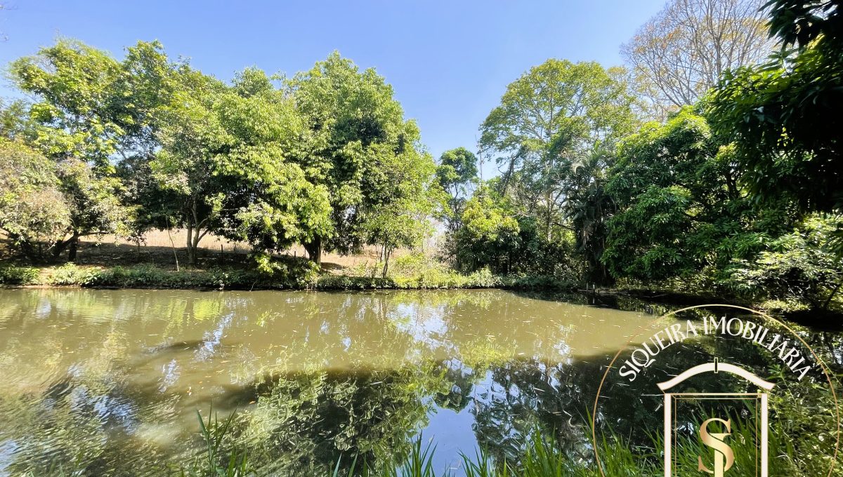 Siqueira Imóveis de Pirenópolis / Goiás / BrasilVenda de Casa em Brasília é na Siqueira Imobiliária de Pirenópolis / Imobiliária de Goiás / Imobiliária do Brasil / Imobiliária do Centro-Oeste / Pirenópolis Imóveis / Imóveis Pirenópolis / Imobiliária de Pirenópolis / Pirenópolis Imobiliária / Goiás Imóveis / Brasil Imóveis / Pirenópolis / Goiás / Brasil / Siqueira Imobiliária de Goiás / Consultoria Imobiliária / Consultor Imobiliário / Venda de Imóveis Pirenópolis / Melhor Imobiliária de Pirenópolis / Venda de pousadas / Venda de terrenos / venda de casas/ Venda de Lotes / Venda de Chácara / Venda de Fazenda / Venda de Apartamentos / Venda de Flat / Venda de Sítio / Brasília Imóveis / Goiânia Imóveis / Imobiliária de Goiânia / Imobiliária de Brasília/ Imobiliária em Pirenópolis / Imobiliária de Pirenópolis / Condomínio Fechado Vaga Fogo / Condomínio Paço da Estalagem / Condomínio Parque da Estalagem / Condomínio Quinta do Sol / Condomínio Fechado Pirenópolis / Cachoeiras Pirenópolis / Restaurante Pirenópolis /Siqueira Imóveis de Pirenópolis / Goiás / BrasilVenda de Casa em Brasília é na Siqueira Imobiliária de Pirenópolis / Imobiliária de Goiás / Imobiliária do Brasil / Imobiliária do Centro-Oeste / Pirenópolis Imóveis / Imóveis Pirenópolis / Imobiliária de Pirenópolis / Pirenópolis Imobiliária / Goiás Imóveis / Brasil Imóveis / Pirenópolis / Goiás / Brasil / Siqueira Imobiliária de Goiás / Consultoria Imobiliária / Consultor Imobiliário / Venda de Imóveis Pirenópolis / Melhor Imobiliária de Pirenópolis / Venda de pousadas / Venda de terrenos / venda de casas/ Venda de Lotes / Venda de Chácara / Venda de Fazenda / Venda de Apartamentos / Venda de Flat / Venda de Sítio / Brasília Imóveis / Goiânia Imóveis / Imobiliária de Goiânia / Imobiliária de Brasília/ Imobiliária em Pirenópolis / Imobiliária de Pirenópolis / Condomínio Fechado Vaga Fogo / Condomínio Paço da Estalagem / Condomínio Parque da Estalagem / Condomínio Quinta do Sol / Condomínio Fechado Pirenópolis / Cachoeiras Pirenópolis / Restaurante Pirenópolis /Siqueira Imóveis de Pirenópolis / Goiás / BrasilVenda de Casa em Brasília é na Siqueira Imobiliária de Pirenópolis / Imobiliária de Goiás / Imobiliária do Brasil / Imobiliária do Centro-Oeste / Pirenópolis Imóveis / Imóveis Pirenópolis / Imobiliária de Pirenópolis / Pirenópolis Imobiliária / Goiás Imóveis / Brasil Imóveis / Pirenópolis / Goiás / Brasil / Siqueira Imobiliária de Goiás / Consultoria Imobiliária / Consultor Imobiliário / Venda de Imóveis Pirenópolis / Melhor Imobiliária de Pirenópolis / Venda de pousadas / Venda de terrenos / venda de casas/ Venda de Lotes / Venda de Chácara / Venda de Fazenda / Venda de Apartamentos / Venda de Flat / Venda de Sítio / Brasília Imóveis / Goiânia Imóveis / Imobiliária de Goiânia / Imobiliária de Brasília/ Imobiliária em Pirenópolis / Imobiliária de Pirenópolis / Condomínio Fechado Vaga Fogo / Condomínio Paço da Estalagem / Condomínio Parque da Estalagem / Condomínio Quinta do Sol / Condomínio Fechado Pirenópolis / Cachoeiras Pirenópolis / Restaurante Pirenópolis /Siqueira Imóveis de Pirenópolis / Goiás / BrasilVenda de Casa em Brasília é na Siqueira Imobiliária de Pirenópolis / Imobiliária de Goiás / Imobiliária do Brasil / Imobiliária do Centro-Oeste / Pirenópolis Imóveis / Imóveis Pirenópolis / Imobiliária de Pirenópolis / Pirenópolis Imobiliária / Goiás Imóveis / Brasil Imóveis / Pirenópolis / Goiás / Brasil / Siqueira Imobiliária de Goiás / Consultoria Imobiliária / Consultor Imobiliário / Venda de Imóveis Pirenópolis / Melhor Imobiliária de Pirenópolis / Venda de pousadas / Venda de terrenos / venda de casas/ Venda de Lotes / Venda de Chácara / Venda de Fazenda / Venda de Apartamentos / Venda de Flat / Venda de Sítio / Brasília Imóveis / Goiânia Imóveis / Imobiliária de Goiânia / Imobiliária de Brasília/ Imobiliária em Pirenópolis / Imobiliária de Pirenópolis / Condomínio Fechado Vaga Fogo / Condomínio Paço da Estalagem / Condomínio Parque da Estalagem / Condomínio Quinta do Sol / Condomínio Fechado Pirenópolis / Cachoeiras Pirenópolis / Restaurante Pirenópolis /