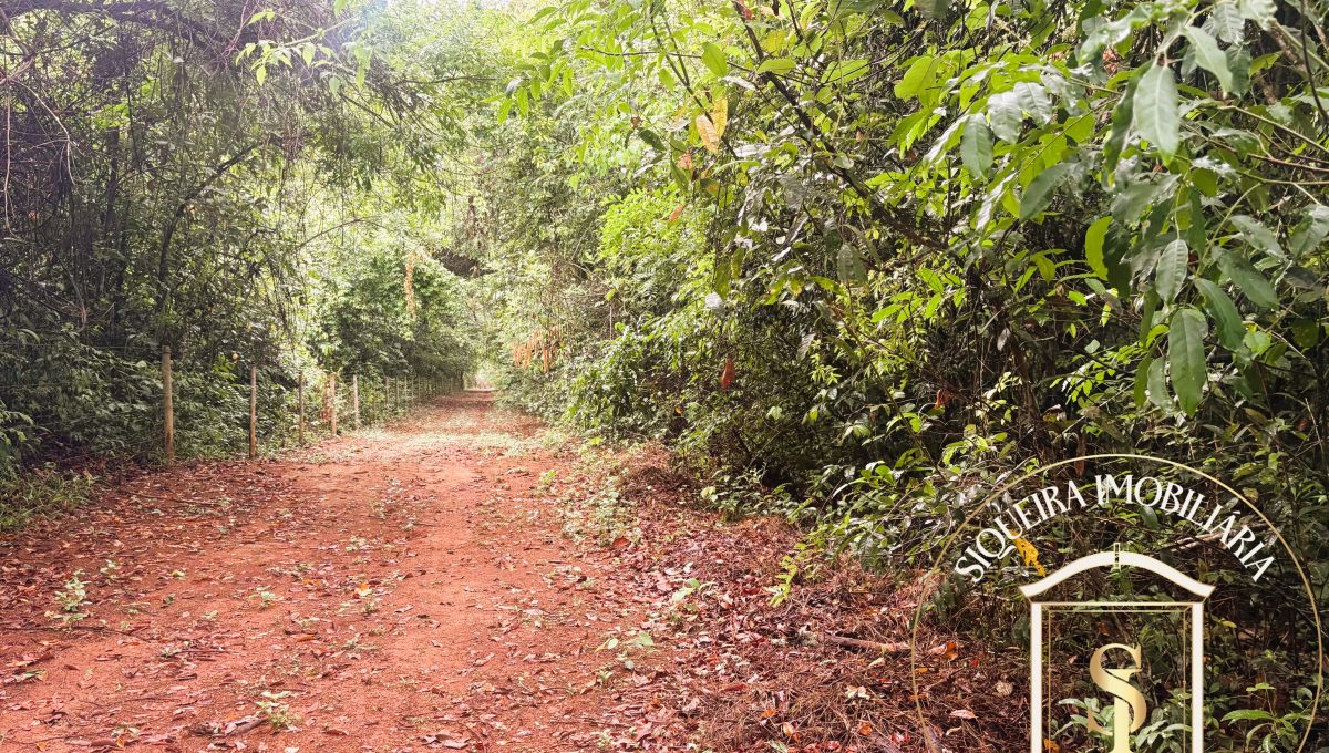 Siqueira Imóveis de Pirenópolis / Goiás / BrasilVenda de Casa em Brasília é na Siqueira Imobiliária de Pirenópolis / Imobiliária de Goiás / Imobiliária do Brasil / Imobiliária do Centro-Oeste / Pirenópolis Imóveis / Imóveis Pirenópolis / Imobiliária de Pirenópolis / Pirenópolis Imobiliária / Goiás Imóveis / Brasil Imóveis / Pirenópolis / Goiás / Brasil / Siqueira Imobiliária de Goiás / Consultoria Imobiliária / Consultor Imobiliário / Venda de Imóveis Pirenópolis / Melhor Imobiliária de Pirenópolis / Venda de pousadas / Venda de terrenos / venda de casas/ Venda de Lotes / Venda de Chácara / Venda de Fazenda / Venda de Apartamentos / Venda de Flat / Venda de Sítio / Brasília Imóveis / Goiânia Imóveis / Imobiliária de Goiânia / Imobiliária de Brasília/ Imobiliária em Pirenópolis / Imobiliária de Pirenópolis / Condomínio Fechado Vaga Fogo / Condomínio Paço da Estalagem / Condomínio Parque da Estalagem / Condomínio Quinta do Sol / Condomínio Fechado Pirenópolis / Cachoeiras Pirenópolis / Restaurante Pirenópolis /Siqueira Imóveis de Pirenópolis / Goiás / BrasilVenda de Casa em Brasília é na Siqueira Imobiliária de Pirenópolis / Imobiliária de Goiás / Imobiliária do Brasil / Imobiliária do Centro-Oeste / Pirenópolis Imóveis / Imóveis Pirenópolis / Imobiliária de Pirenópolis / Pirenópolis Imobiliária / Goiás Imóveis / Brasil Imóveis / Pirenópolis / Goiás / Brasil / Siqueira Imobiliária de Goiás / Consultoria Imobiliária / Consultor Imobiliário / Venda de Imóveis Pirenópolis / Melhor Imobiliária de Pirenópolis / Venda de pousadas / Venda de terrenos / venda de casas/ Venda de Lotes / Venda de Chácara / Venda de Fazenda / Venda de Apartamentos / Venda de Flat / Venda de Sítio / Brasília Imóveis / Goiânia Imóveis / Imobiliária de Goiânia / Imobiliária de Brasília/ Imobiliária em Pirenópolis / Imobiliária de Pirenópolis / Condomínio Fechado Vaga Fogo / Condomínio Paço da Estalagem / Condomínio Parque da Estalagem / Condomínio Quinta do Sol / Condomínio Fechado Pirenópolis / Cachoeiras Pirenópolis / Restaurante Pirenópolis /Siqueira Imóveis de Pirenópolis / Goiás / BrasilVenda de Casa em Brasília é na Siqueira Imobiliária de Pirenópolis / Imobiliária de Goiás / Imobiliária do Brasil / Imobiliária do Centro-Oeste / Pirenópolis Imóveis / Imóveis Pirenópolis / Imobiliária de Pirenópolis / Pirenópolis Imobiliária / Goiás Imóveis / Brasil Imóveis / Pirenópolis / Goiás / Brasil / Siqueira Imobiliária de Goiás / Consultoria Imobiliária / Consultor Imobiliário / Venda de Imóveis Pirenópolis / Melhor Imobiliária de Pirenópolis / Venda de pousadas / Venda de terrenos / venda de casas/ Venda de Lotes / Venda de Chácara / Venda de Fazenda / Venda de Apartamentos / Venda de Flat / Venda de Sítio / Brasília Imóveis / Goiânia Imóveis / Imobiliária de Goiânia / Imobiliária de Brasília/ Imobiliária em Pirenópolis / Imobiliária de Pirenópolis / Condomínio Fechado Vaga Fogo / Condomínio Paço da Estalagem / Condomínio Parque da Estalagem / Condomínio Quinta do Sol / Condomínio Fechado Pirenópolis / Cachoeiras Pirenópolis / Restaurante Pirenópolis /Siqueira Imóveis de Pirenópolis / Goiás / BrasilVenda de Casa em Brasília é na Siqueira Imobiliária de Pirenópolis / Imobiliária de Goiás / Imobiliária do Brasil / Imobiliária do Centro-Oeste / Pirenópolis Imóveis / Imóveis Pirenópolis / Imobiliária de Pirenópolis / Pirenópolis Imobiliária / Goiás Imóveis / Brasil Imóveis / Pirenópolis / Goiás / Brasil / Siqueira Imobiliária de Goiás / Consultoria Imobiliária / Consultor Imobiliário / Venda de Imóveis Pirenópolis / Melhor Imobiliária de Pirenópolis / Venda de pousadas / Venda de terrenos / venda de casas/ Venda de Lotes / Venda de Chácara / Venda de Fazenda / Venda de Apartamentos / Venda de Flat / Venda de Sítio / Brasília Imóveis / Goiânia Imóveis / Imobiliária de Goiânia / Imobiliária de Brasília/ Imobiliária em Pirenópolis / Imobiliária de Pirenópolis / Condomínio Fechado Vaga Fogo / Condomínio Paço da Estalagem / Condomínio Parque da Estalagem / Condomínio Quinta do Sol / Condomínio Fechado Pirenópolis / Cachoeiras Pirenópolis / Restaurante Pirenópolis /