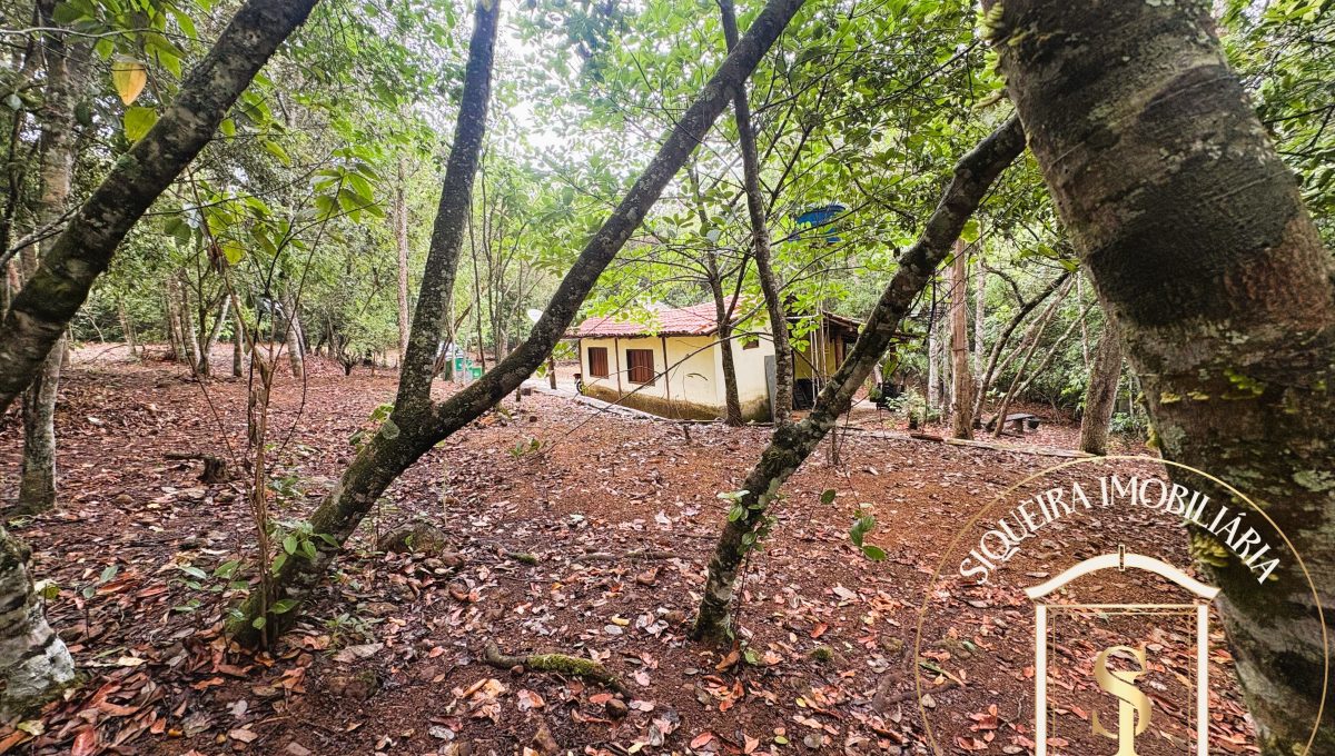Siqueira Imóveis de Pirenópolis / Goiás / BrasilVenda de Casa em Brasília é na Siqueira Imobiliária de Pirenópolis / Imobiliária de Goiás / Imobiliária do Brasil / Imobiliária do Centro-Oeste / Pirenópolis Imóveis / Imóveis Pirenópolis / Imobiliária de Pirenópolis / Pirenópolis Imobiliária / Goiás Imóveis / Brasil Imóveis / Pirenópolis / Goiás / Brasil / Siqueira Imobiliária de Goiás / Consultoria Imobiliária / Consultor Imobiliário / Venda de Imóveis Pirenópolis / Melhor Imobiliária de Pirenópolis / Venda de pousadas / Venda de terrenos / venda de casas/ Venda de Lotes / Venda de Chácara / Venda de Fazenda / Venda de Apartamentos / Venda de Flat / Venda de Sítio / Brasília Imóveis / Goiânia Imóveis / Imobiliária de Goiânia / Imobiliária de Brasília/ Imobiliária em Pirenópolis / Imobiliária de Pirenópolis / Condomínio Fechado Vaga Fogo / Condomínio Paço da Estalagem / Condomínio Parque da Estalagem / Condomínio Quinta do Sol / Condomínio Fechado Pirenópolis / Cachoeiras Pirenópolis / Restaurante Pirenópolis /Siqueira Imóveis de Pirenópolis / Goiás / BrasilVenda de Casa em Brasília é na Siqueira Imobiliária de Pirenópolis / Imobiliária de Goiás / Imobiliária do Brasil / Imobiliária do Centro-Oeste / Pirenópolis Imóveis / Imóveis Pirenópolis / Imobiliária de Pirenópolis / Pirenópolis Imobiliária / Goiás Imóveis / Brasil Imóveis / Pirenópolis / Goiás / Brasil / Siqueira Imobiliária de Goiás / Consultoria Imobiliária / Consultor Imobiliário / Venda de Imóveis Pirenópolis / Melhor Imobiliária de Pirenópolis / Venda de pousadas / Venda de terrenos / venda de casas/ Venda de Lotes / Venda de Chácara / Venda de Fazenda / Venda de Apartamentos / Venda de Flat / Venda de Sítio / Brasília Imóveis / Goiânia Imóveis / Imobiliária de Goiânia / Imobiliária de Brasília/ Imobiliária em Pirenópolis / Imobiliária de Pirenópolis / Condomínio Fechado Vaga Fogo / Condomínio Paço da Estalagem / Condomínio Parque da Estalagem / Condomínio Quinta do Sol / Condomínio Fechado Pirenópolis / Cachoeiras Pirenópolis / Restaurante Pirenópolis /Siqueira Imóveis de Pirenópolis / Goiás / BrasilVenda de Casa em Brasília é na Siqueira Imobiliária de Pirenópolis / Imobiliária de Goiás / Imobiliária do Brasil / Imobiliária do Centro-Oeste / Pirenópolis Imóveis / Imóveis Pirenópolis / Imobiliária de Pirenópolis / Pirenópolis Imobiliária / Goiás Imóveis / Brasil Imóveis / Pirenópolis / Goiás / Brasil / Siqueira Imobiliária de Goiás / Consultoria Imobiliária / Consultor Imobiliário / Venda de Imóveis Pirenópolis / Melhor Imobiliária de Pirenópolis / Venda de pousadas / Venda de terrenos / venda de casas/ Venda de Lotes / Venda de Chácara / Venda de Fazenda / Venda de Apartamentos / Venda de Flat / Venda de Sítio / Brasília Imóveis / Goiânia Imóveis / Imobiliária de Goiânia / Imobiliária de Brasília/ Imobiliária em Pirenópolis / Imobiliária de Pirenópolis / Condomínio Fechado Vaga Fogo / Condomínio Paço da Estalagem / Condomínio Parque da Estalagem / Condomínio Quinta do Sol / Condomínio Fechado Pirenópolis / Cachoeiras Pirenópolis / Restaurante Pirenópolis /Siqueira Imóveis de Pirenópolis / Goiás / BrasilVenda de Casa em Brasília é na Siqueira Imobiliária de Pirenópolis / Imobiliária de Goiás / Imobiliária do Brasil / Imobiliária do Centro-Oeste / Pirenópolis Imóveis / Imóveis Pirenópolis / Imobiliária de Pirenópolis / Pirenópolis Imobiliária / Goiás Imóveis / Brasil Imóveis / Pirenópolis / Goiás / Brasil / Siqueira Imobiliária de Goiás / Consultoria Imobiliária / Consultor Imobiliário / Venda de Imóveis Pirenópolis / Melhor Imobiliária de Pirenópolis / Venda de pousadas / Venda de terrenos / venda de casas/ Venda de Lotes / Venda de Chácara / Venda de Fazenda / Venda de Apartamentos / Venda de Flat / Venda de Sítio / Brasília Imóveis / Goiânia Imóveis / Imobiliária de Goiânia / Imobiliária de Brasília/ Imobiliária em Pirenópolis / Imobiliária de Pirenópolis / Condomínio Fechado Vaga Fogo / Condomínio Paço da Estalagem / Condomínio Parque da Estalagem / Condomínio Quinta do Sol / Condomínio Fechado Pirenópolis / Cachoeiras Pirenópolis / Restaurante Pirenópolis /