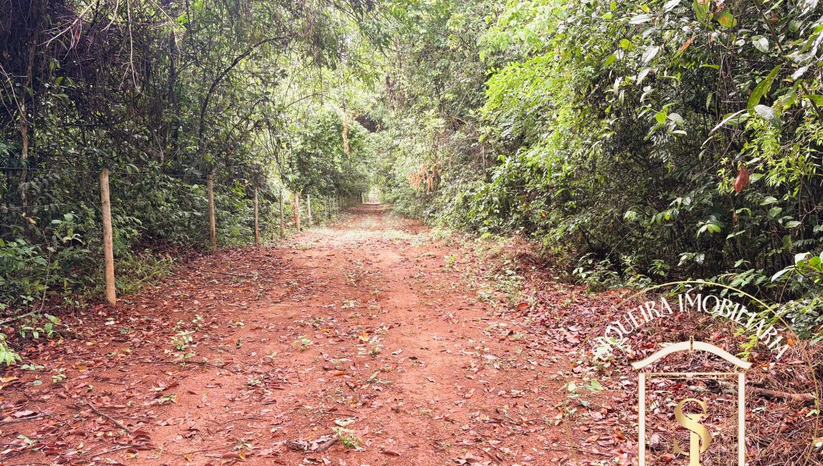 Siqueira Imóveis de Pirenópolis / Goiás / BrasilVenda de Casa em Brasília é na Siqueira Imobiliária de Pirenópolis / Imobiliária de Goiás / Imobiliária do Brasil / Imobiliária do Centro-Oeste / Pirenópolis Imóveis / Imóveis Pirenópolis / Imobiliária de Pirenópolis / Pirenópolis Imobiliária / Goiás Imóveis / Brasil Imóveis / Pirenópolis / Goiás / Brasil / Siqueira Imobiliária de Goiás / Consultoria Imobiliária / Consultor Imobiliário / Venda de Imóveis Pirenópolis / Melhor Imobiliária de Pirenópolis / Venda de pousadas / Venda de terrenos / venda de casas/ Venda de Lotes / Venda de Chácara / Venda de Fazenda / Venda de Apartamentos / Venda de Flat / Venda de Sítio / Brasília Imóveis / Goiânia Imóveis / Imobiliária de Goiânia / Imobiliária de Brasília/ Imobiliária em Pirenópolis / Imobiliária de Pirenópolis / Condomínio Fechado Vaga Fogo / Condomínio Paço da Estalagem / Condomínio Parque da Estalagem / Condomínio Quinta do Sol / Condomínio Fechado Pirenópolis / Cachoeiras Pirenópolis / Restaurante Pirenópolis /Siqueira Imóveis de Pirenópolis / Goiás / BrasilVenda de Casa em Brasília é na Siqueira Imobiliária de Pirenópolis / Imobiliária de Goiás / Imobiliária do Brasil / Imobiliária do Centro-Oeste / Pirenópolis Imóveis / Imóveis Pirenópolis / Imobiliária de Pirenópolis / Pirenópolis Imobiliária / Goiás Imóveis / Brasil Imóveis / Pirenópolis / Goiás / Brasil / Siqueira Imobiliária de Goiás / Consultoria Imobiliária / Consultor Imobiliário / Venda de Imóveis Pirenópolis / Melhor Imobiliária de Pirenópolis / Venda de pousadas / Venda de terrenos / venda de casas/ Venda de Lotes / Venda de Chácara / Venda de Fazenda / Venda de Apartamentos / Venda de Flat / Venda de Sítio / Brasília Imóveis / Goiânia Imóveis / Imobiliária de Goiânia / Imobiliária de Brasília/ Imobiliária em Pirenópolis / Imobiliária de Pirenópolis / Condomínio Fechado Vaga Fogo / Condomínio Paço da Estalagem / Condomínio Parque da Estalagem / Condomínio Quinta do Sol / Condomínio Fechado Pirenópolis / Cachoeiras Pirenópolis / Restaurante Pirenópolis /Siqueira Imóveis de Pirenópolis / Goiás / BrasilVenda de Casa em Brasília é na Siqueira Imobiliária de Pirenópolis / Imobiliária de Goiás / Imobiliária do Brasil / Imobiliária do Centro-Oeste / Pirenópolis Imóveis / Imóveis Pirenópolis / Imobiliária de Pirenópolis / Pirenópolis Imobiliária / Goiás Imóveis / Brasil Imóveis / Pirenópolis / Goiás / Brasil / Siqueira Imobiliária de Goiás / Consultoria Imobiliária / Consultor Imobiliário / Venda de Imóveis Pirenópolis / Melhor Imobiliária de Pirenópolis / Venda de pousadas / Venda de terrenos / venda de casas/ Venda de Lotes / Venda de Chácara / Venda de Fazenda / Venda de Apartamentos / Venda de Flat / Venda de Sítio / Brasília Imóveis / Goiânia Imóveis / Imobiliária de Goiânia / Imobiliária de Brasília/ Imobiliária em Pirenópolis / Imobiliária de Pirenópolis / Condomínio Fechado Vaga Fogo / Condomínio Paço da Estalagem / Condomínio Parque da Estalagem / Condomínio Quinta do Sol / Condomínio Fechado Pirenópolis / Cachoeiras Pirenópolis / Restaurante Pirenópolis /Siqueira Imóveis de Pirenópolis / Goiás / BrasilVenda de Casa em Brasília é na Siqueira Imobiliária de Pirenópolis / Imobiliária de Goiás / Imobiliária do Brasil / Imobiliária do Centro-Oeste / Pirenópolis Imóveis / Imóveis Pirenópolis / Imobiliária de Pirenópolis / Pirenópolis Imobiliária / Goiás Imóveis / Brasil Imóveis / Pirenópolis / Goiás / Brasil / Siqueira Imobiliária de Goiás / Consultoria Imobiliária / Consultor Imobiliário / Venda de Imóveis Pirenópolis / Melhor Imobiliária de Pirenópolis / Venda de pousadas / Venda de terrenos / venda de casas/ Venda de Lotes / Venda de Chácara / Venda de Fazenda / Venda de Apartamentos / Venda de Flat / Venda de Sítio / Brasília Imóveis / Goiânia Imóveis / Imobiliária de Goiânia / Imobiliária de Brasília/ Imobiliária em Pirenópolis / Imobiliária de Pirenópolis / Condomínio Fechado Vaga Fogo / Condomínio Paço da Estalagem / Condomínio Parque da Estalagem / Condomínio Quinta do Sol / Condomínio Fechado Pirenópolis / Cachoeiras Pirenópolis / Restaurante Pirenópolis /