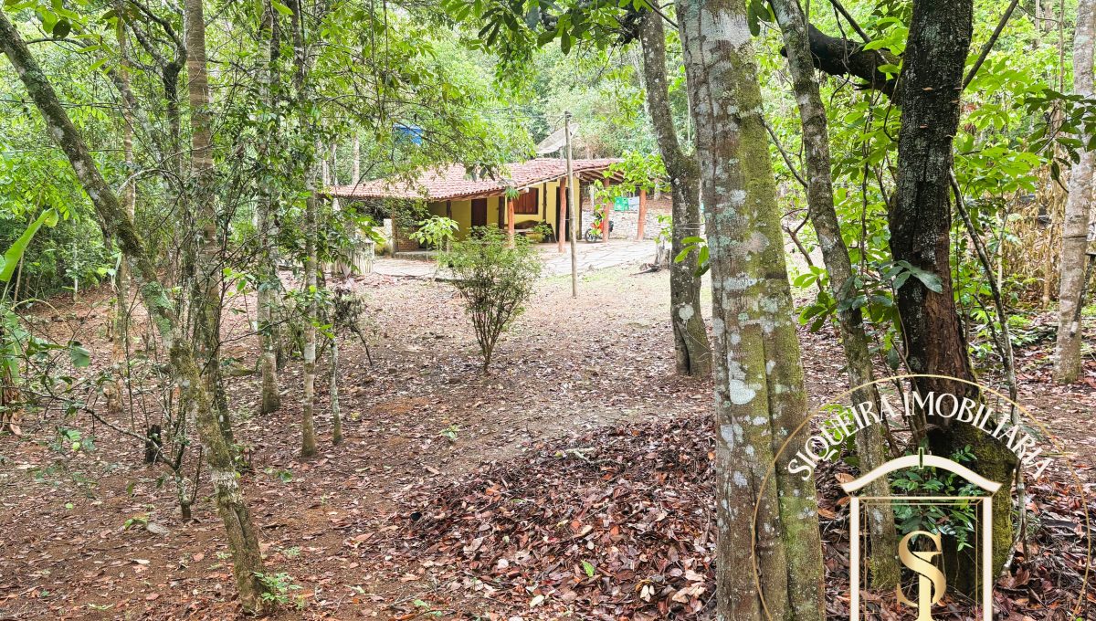 Siqueira Imóveis de Pirenópolis / Goiás / BrasilVenda de Casa em Brasília é na Siqueira Imobiliária de Pirenópolis / Imobiliária de Goiás / Imobiliária do Brasil / Imobiliária do Centro-Oeste / Pirenópolis Imóveis / Imóveis Pirenópolis / Imobiliária de Pirenópolis / Pirenópolis Imobiliária / Goiás Imóveis / Brasil Imóveis / Pirenópolis / Goiás / Brasil / Siqueira Imobiliária de Goiás / Consultoria Imobiliária / Consultor Imobiliário / Venda de Imóveis Pirenópolis / Melhor Imobiliária de Pirenópolis / Venda de pousadas / Venda de terrenos / venda de casas/ Venda de Lotes / Venda de Chácara / Venda de Fazenda / Venda de Apartamentos / Venda de Flat / Venda de Sítio / Brasília Imóveis / Goiânia Imóveis / Imobiliária de Goiânia / Imobiliária de Brasília/ Imobiliária em Pirenópolis / Imobiliária de Pirenópolis / Condomínio Fechado Vaga Fogo / Condomínio Paço da Estalagem / Condomínio Parque da Estalagem / Condomínio Quinta do Sol / Condomínio Fechado Pirenópolis / Cachoeiras Pirenópolis / Restaurante Pirenópolis /Siqueira Imóveis de Pirenópolis / Goiás / BrasilVenda de Casa em Brasília é na Siqueira Imobiliária de Pirenópolis / Imobiliária de Goiás / Imobiliária do Brasil / Imobiliária do Centro-Oeste / Pirenópolis Imóveis / Imóveis Pirenópolis / Imobiliária de Pirenópolis / Pirenópolis Imobiliária / Goiás Imóveis / Brasil Imóveis / Pirenópolis / Goiás / Brasil / Siqueira Imobiliária de Goiás / Consultoria Imobiliária / Consultor Imobiliário / Venda de Imóveis Pirenópolis / Melhor Imobiliária de Pirenópolis / Venda de pousadas / Venda de terrenos / venda de casas/ Venda de Lotes / Venda de Chácara / Venda de Fazenda / Venda de Apartamentos / Venda de Flat / Venda de Sítio / Brasília Imóveis / Goiânia Imóveis / Imobiliária de Goiânia / Imobiliária de Brasília/ Imobiliária em Pirenópolis / Imobiliária de Pirenópolis / Condomínio Fechado Vaga Fogo / Condomínio Paço da Estalagem / Condomínio Parque da Estalagem / Condomínio Quinta do Sol / Condomínio Fechado Pirenópolis / Cachoeiras Pirenópolis / Restaurante Pirenópolis /Siqueira Imóveis de Pirenópolis / Goiás / BrasilVenda de Casa em Brasília é na Siqueira Imobiliária de Pirenópolis / Imobiliária de Goiás / Imobiliária do Brasil / Imobiliária do Centro-Oeste / Pirenópolis Imóveis / Imóveis Pirenópolis / Imobiliária de Pirenópolis / Pirenópolis Imobiliária / Goiás Imóveis / Brasil Imóveis / Pirenópolis / Goiás / Brasil / Siqueira Imobiliária de Goiás / Consultoria Imobiliária / Consultor Imobiliário / Venda de Imóveis Pirenópolis / Melhor Imobiliária de Pirenópolis / Venda de pousadas / Venda de terrenos / venda de casas/ Venda de Lotes / Venda de Chácara / Venda de Fazenda / Venda de Apartamentos / Venda de Flat / Venda de Sítio / Brasília Imóveis / Goiânia Imóveis / Imobiliária de Goiânia / Imobiliária de Brasília/ Imobiliária em Pirenópolis / Imobiliária de Pirenópolis / Condomínio Fechado Vaga Fogo / Condomínio Paço da Estalagem / Condomínio Parque da Estalagem / Condomínio Quinta do Sol / Condomínio Fechado Pirenópolis / Cachoeiras Pirenópolis / Restaurante Pirenópolis /Siqueira Imóveis de Pirenópolis / Goiás / BrasilVenda de Casa em Brasília é na Siqueira Imobiliária de Pirenópolis / Imobiliária de Goiás / Imobiliária do Brasil / Imobiliária do Centro-Oeste / Pirenópolis Imóveis / Imóveis Pirenópolis / Imobiliária de Pirenópolis / Pirenópolis Imobiliária / Goiás Imóveis / Brasil Imóveis / Pirenópolis / Goiás / Brasil / Siqueira Imobiliária de Goiás / Consultoria Imobiliária / Consultor Imobiliário / Venda de Imóveis Pirenópolis / Melhor Imobiliária de Pirenópolis / Venda de pousadas / Venda de terrenos / venda de casas/ Venda de Lotes / Venda de Chácara / Venda de Fazenda / Venda de Apartamentos / Venda de Flat / Venda de Sítio / Brasília Imóveis / Goiânia Imóveis / Imobiliária de Goiânia / Imobiliária de Brasília/ Imobiliária em Pirenópolis / Imobiliária de Pirenópolis / Condomínio Fechado Vaga Fogo / Condomínio Paço da Estalagem / Condomínio Parque da Estalagem / Condomínio Quinta do Sol / Condomínio Fechado Pirenópolis / Cachoeiras Pirenópolis / Restaurante Pirenópolis /