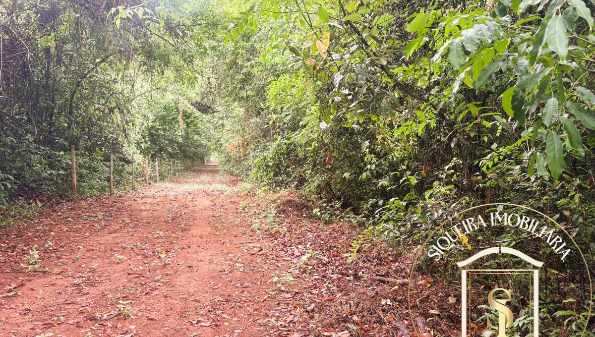 Siqueira Imóveis de Pirenópolis / Goiás / BrasilVenda de Casa em Brasília é na Siqueira Imobiliária de Pirenópolis / Imobiliária de Goiás / Imobiliária do Brasil / Imobiliária do Centro-Oeste / Pirenópolis Imóveis / Imóveis Pirenópolis / Imobiliária de Pirenópolis / Pirenópolis Imobiliária / Goiás Imóveis / Brasil Imóveis / Pirenópolis / Goiás / Brasil / Siqueira Imobiliária de Goiás / Consultoria Imobiliária / Consultor Imobiliário / Venda de Imóveis Pirenópolis / Melhor Imobiliária de Pirenópolis / Venda de pousadas / Venda de terrenos / venda de casas/ Venda de Lotes / Venda de Chácara / Venda de Fazenda / Venda de Apartamentos / Venda de Flat / Venda de Sítio / Brasília Imóveis / Goiânia Imóveis / Imobiliária de Goiânia / Imobiliária de Brasília/ Imobiliária em Pirenópolis / Imobiliária de Pirenópolis / Condomínio Fechado Vaga Fogo / Condomínio Paço da Estalagem / Condomínio Parque da Estalagem / Condomínio Quinta do Sol / Condomínio Fechado Pirenópolis / Cachoeiras Pirenópolis / Restaurante Pirenópolis /Siqueira Imóveis de Pirenópolis / Goiás / BrasilVenda de Casa em Brasília é na Siqueira Imobiliária de Pirenópolis / Imobiliária de Goiás / Imobiliária do Brasil / Imobiliária do Centro-Oeste / Pirenópolis Imóveis / Imóveis Pirenópolis / Imobiliária de Pirenópolis / Pirenópolis Imobiliária / Goiás Imóveis / Brasil Imóveis / Pirenópolis / Goiás / Brasil / Siqueira Imobiliária de Goiás / Consultoria Imobiliária / Consultor Imobiliário / Venda de Imóveis Pirenópolis / Melhor Imobiliária de Pirenópolis / Venda de pousadas / Venda de terrenos / venda de casas/ Venda de Lotes / Venda de Chácara / Venda de Fazenda / Venda de Apartamentos / Venda de Flat / Venda de Sítio / Brasília Imóveis / Goiânia Imóveis / Imobiliária de Goiânia / Imobiliária de Brasília/ Imobiliária em Pirenópolis / Imobiliária de Pirenópolis / Condomínio Fechado Vaga Fogo / Condomínio Paço da Estalagem / Condomínio Parque da Estalagem / Condomínio Quinta do Sol / Condomínio Fechado Pirenópolis / Cachoeiras Pirenópolis / Restaurante Pirenópolis /Siqueira Imóveis de Pirenópolis / Goiás / BrasilVenda de Casa em Brasília é na Siqueira Imobiliária de Pirenópolis / Imobiliária de Goiás / Imobiliária do Brasil / Imobiliária do Centro-Oeste / Pirenópolis Imóveis / Imóveis Pirenópolis / Imobiliária de Pirenópolis / Pirenópolis Imobiliária / Goiás Imóveis / Brasil Imóveis / Pirenópolis / Goiás / Brasil / Siqueira Imobiliária de Goiás / Consultoria Imobiliária / Consultor Imobiliário / Venda de Imóveis Pirenópolis / Melhor Imobiliária de Pirenópolis / Venda de pousadas / Venda de terrenos / venda de casas/ Venda de Lotes / Venda de Chácara / Venda de Fazenda / Venda de Apartamentos / Venda de Flat / Venda de Sítio / Brasília Imóveis / Goiânia Imóveis / Imobiliária de Goiânia / Imobiliária de Brasília/ Imobiliária em Pirenópolis / Imobiliária de Pirenópolis / Condomínio Fechado Vaga Fogo / Condomínio Paço da Estalagem / Condomínio Parque da Estalagem / Condomínio Quinta do Sol / Condomínio Fechado Pirenópolis / Cachoeiras Pirenópolis / Restaurante Pirenópolis /Siqueira Imóveis de Pirenópolis / Goiás / BrasilVenda de Casa em Brasília é na Siqueira Imobiliária de Pirenópolis / Imobiliária de Goiás / Imobiliária do Brasil / Imobiliária do Centro-Oeste / Pirenópolis Imóveis / Imóveis Pirenópolis / Imobiliária de Pirenópolis / Pirenópolis Imobiliária / Goiás Imóveis / Brasil Imóveis / Pirenópolis / Goiás / Brasil / Siqueira Imobiliária de Goiás / Consultoria Imobiliária / Consultor Imobiliário / Venda de Imóveis Pirenópolis / Melhor Imobiliária de Pirenópolis / Venda de pousadas / Venda de terrenos / venda de casas/ Venda de Lotes / Venda de Chácara / Venda de Fazenda / Venda de Apartamentos / Venda de Flat / Venda de Sítio / Brasília Imóveis / Goiânia Imóveis / Imobiliária de Goiânia / Imobiliária de Brasília/ Imobiliária em Pirenópolis / Imobiliária de Pirenópolis / Condomínio Fechado Vaga Fogo / Condomínio Paço da Estalagem / Condomínio Parque da Estalagem / Condomínio Quinta do Sol / Condomínio Fechado Pirenópolis / Cachoeiras Pirenópolis / Restaurante Pirenópolis /