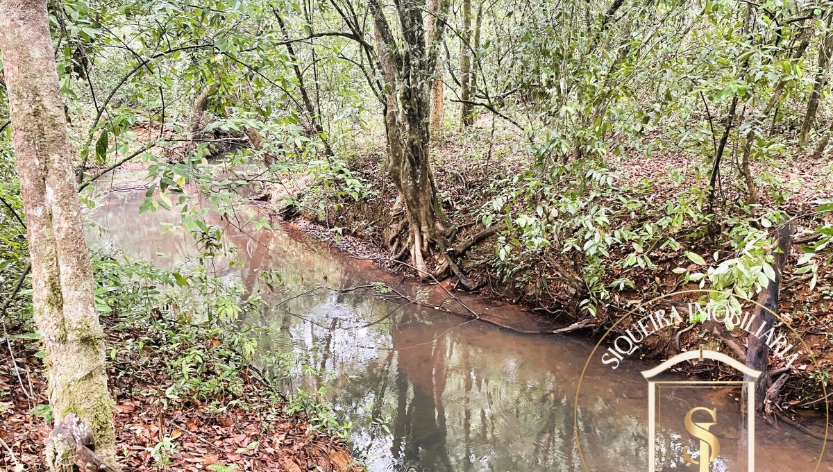 Siqueira Imóveis de Pirenópolis / Goiás / BrasilVenda de Casa em Brasília é na Siqueira Imobiliária de Pirenópolis / Imobiliária de Goiás / Imobiliária do Brasil / Imobiliária do Centro-Oeste / Pirenópolis Imóveis / Imóveis Pirenópolis / Imobiliária de Pirenópolis / Pirenópolis Imobiliária / Goiás Imóveis / Brasil Imóveis / Pirenópolis / Goiás / Brasil / Siqueira Imobiliária de Goiás / Consultoria Imobiliária / Consultor Imobiliário / Venda de Imóveis Pirenópolis / Melhor Imobiliária de Pirenópolis / Venda de pousadas / Venda de terrenos / venda de casas/ Venda de Lotes / Venda de Chácara / Venda de Fazenda / Venda de Apartamentos / Venda de Flat / Venda de Sítio / Brasília Imóveis / Goiânia Imóveis / Imobiliária de Goiânia / Imobiliária de Brasília/ Imobiliária em Pirenópolis / Imobiliária de Pirenópolis / Condomínio Fechado Vaga Fogo / Condomínio Paço da Estalagem / Condomínio Parque da Estalagem / Condomínio Quinta do Sol / Condomínio Fechado Pirenópolis / Cachoeiras Pirenópolis / Restaurante Pirenópolis /Siqueira Imóveis de Pirenópolis / Goiás / BrasilVenda de Casa em Brasília é na Siqueira Imobiliária de Pirenópolis / Imobiliária de Goiás / Imobiliária do Brasil / Imobiliária do Centro-Oeste / Pirenópolis Imóveis / Imóveis Pirenópolis / Imobiliária de Pirenópolis / Pirenópolis Imobiliária / Goiás Imóveis / Brasil Imóveis / Pirenópolis / Goiás / Brasil / Siqueira Imobiliária de Goiás / Consultoria Imobiliária / Consultor Imobiliário / Venda de Imóveis Pirenópolis / Melhor Imobiliária de Pirenópolis / Venda de pousadas / Venda de terrenos / venda de casas/ Venda de Lotes / Venda de Chácara / Venda de Fazenda / Venda de Apartamentos / Venda de Flat / Venda de Sítio / Brasília Imóveis / Goiânia Imóveis / Imobiliária de Goiânia / Imobiliária de Brasília/ Imobiliária em Pirenópolis / Imobiliária de Pirenópolis / Condomínio Fechado Vaga Fogo / Condomínio Paço da Estalagem / Condomínio Parque da Estalagem / Condomínio Quinta do Sol / Condomínio Fechado Pirenópolis / Cachoeiras Pirenópolis / Restaurante Pirenópolis /Siqueira Imóveis de Pirenópolis / Goiás / BrasilVenda de Casa em Brasília é na Siqueira Imobiliária de Pirenópolis / Imobiliária de Goiás / Imobiliária do Brasil / Imobiliária do Centro-Oeste / Pirenópolis Imóveis / Imóveis Pirenópolis / Imobiliária de Pirenópolis / Pirenópolis Imobiliária / Goiás Imóveis / Brasil Imóveis / Pirenópolis / Goiás / Brasil / Siqueira Imobiliária de Goiás / Consultoria Imobiliária / Consultor Imobiliário / Venda de Imóveis Pirenópolis / Melhor Imobiliária de Pirenópolis / Venda de pousadas / Venda de terrenos / venda de casas/ Venda de Lotes / Venda de Chácara / Venda de Fazenda / Venda de Apartamentos / Venda de Flat / Venda de Sítio / Brasília Imóveis / Goiânia Imóveis / Imobiliária de Goiânia / Imobiliária de Brasília/ Imobiliária em Pirenópolis / Imobiliária de Pirenópolis / Condomínio Fechado Vaga Fogo / Condomínio Paço da Estalagem / Condomínio Parque da Estalagem / Condomínio Quinta do Sol / Condomínio Fechado Pirenópolis / Cachoeiras Pirenópolis / Restaurante Pirenópolis /Siqueira Imóveis de Pirenópolis / Goiás / BrasilVenda de Casa em Brasília é na Siqueira Imobiliária de Pirenópolis / Imobiliária de Goiás / Imobiliária do Brasil / Imobiliária do Centro-Oeste / Pirenópolis Imóveis / Imóveis Pirenópolis / Imobiliária de Pirenópolis / Pirenópolis Imobiliária / Goiás Imóveis / Brasil Imóveis / Pirenópolis / Goiás / Brasil / Siqueira Imobiliária de Goiás / Consultoria Imobiliária / Consultor Imobiliário / Venda de Imóveis Pirenópolis / Melhor Imobiliária de Pirenópolis / Venda de pousadas / Venda de terrenos / venda de casas/ Venda de Lotes / Venda de Chácara / Venda de Fazenda / Venda de Apartamentos / Venda de Flat / Venda de Sítio / Brasília Imóveis / Goiânia Imóveis / Imobiliária de Goiânia / Imobiliária de Brasília/ Imobiliária em Pirenópolis / Imobiliária de Pirenópolis / Condomínio Fechado Vaga Fogo / Condomínio Paço da Estalagem / Condomínio Parque da Estalagem / Condomínio Quinta do Sol / Condomínio Fechado Pirenópolis / Cachoeiras Pirenópolis / Restaurante Pirenópolis /