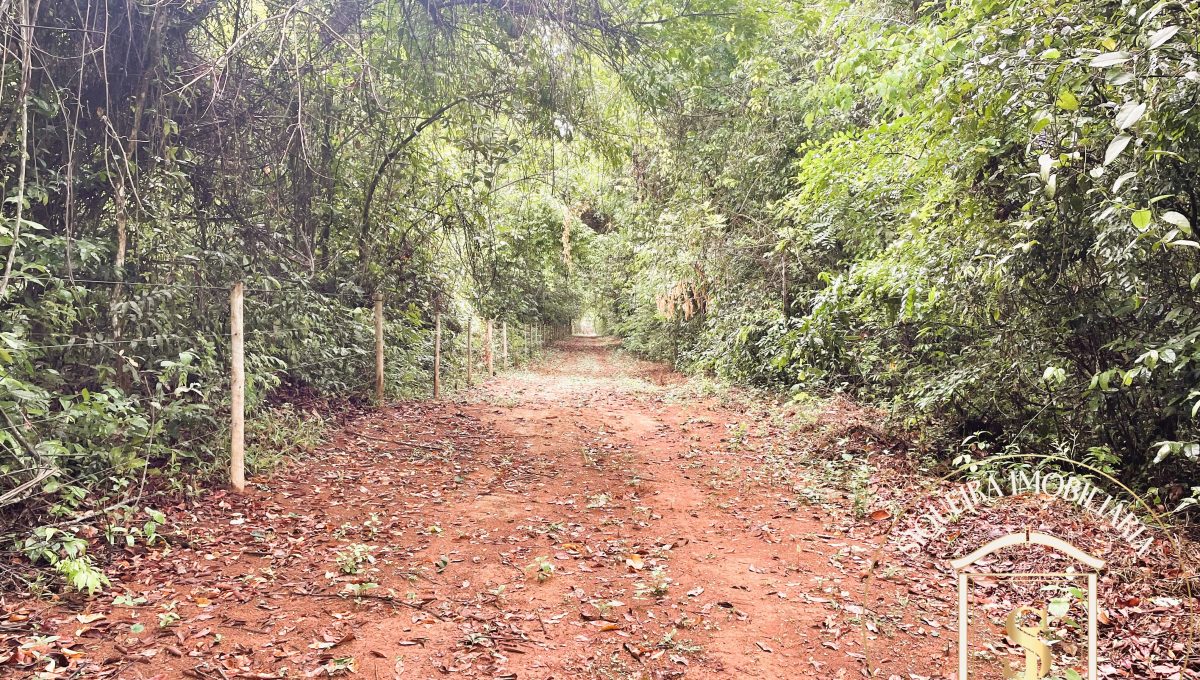 Siqueira Imóveis de Pirenópolis / Goiás / BrasilVenda de Casa em Brasília é na Siqueira Imobiliária de Pirenópolis / Imobiliária de Goiás / Imobiliária do Brasil / Imobiliária do Centro-Oeste / Pirenópolis Imóveis / Imóveis Pirenópolis / Imobiliária de Pirenópolis / Pirenópolis Imobiliária / Goiás Imóveis / Brasil Imóveis / Pirenópolis / Goiás / Brasil / Siqueira Imobiliária de Goiás / Consultoria Imobiliária / Consultor Imobiliário / Venda de Imóveis Pirenópolis / Melhor Imobiliária de Pirenópolis / Venda de pousadas / Venda de terrenos / venda de casas/ Venda de Lotes / Venda de Chácara / Venda de Fazenda / Venda de Apartamentos / Venda de Flat / Venda de Sítio / Brasília Imóveis / Goiânia Imóveis / Imobiliária de Goiânia / Imobiliária de Brasília/ Imobiliária em Pirenópolis / Imobiliária de Pirenópolis / Condomínio Fechado Vaga Fogo / Condomínio Paço da Estalagem / Condomínio Parque da Estalagem / Condomínio Quinta do Sol / Condomínio Fechado Pirenópolis / Cachoeiras Pirenópolis / Restaurante Pirenópolis /Siqueira Imóveis de Pirenópolis / Goiás / BrasilVenda de Casa em Brasília é na Siqueira Imobiliária de Pirenópolis / Imobiliária de Goiás / Imobiliária do Brasil / Imobiliária do Centro-Oeste / Pirenópolis Imóveis / Imóveis Pirenópolis / Imobiliária de Pirenópolis / Pirenópolis Imobiliária / Goiás Imóveis / Brasil Imóveis / Pirenópolis / Goiás / Brasil / Siqueira Imobiliária de Goiás / Consultoria Imobiliária / Consultor Imobiliário / Venda de Imóveis Pirenópolis / Melhor Imobiliária de Pirenópolis / Venda de pousadas / Venda de terrenos / venda de casas/ Venda de Lotes / Venda de Chácara / Venda de Fazenda / Venda de Apartamentos / Venda de Flat / Venda de Sítio / Brasília Imóveis / Goiânia Imóveis / Imobiliária de Goiânia / Imobiliária de Brasília/ Imobiliária em Pirenópolis / Imobiliária de Pirenópolis / Condomínio Fechado Vaga Fogo / Condomínio Paço da Estalagem / Condomínio Parque da Estalagem / Condomínio Quinta do Sol / Condomínio Fechado Pirenópolis / Cachoeiras Pirenópolis / Restaurante Pirenópolis /Siqueira Imóveis de Pirenópolis / Goiás / BrasilVenda de Casa em Brasília é na Siqueira Imobiliária de Pirenópolis / Imobiliária de Goiás / Imobiliária do Brasil / Imobiliária do Centro-Oeste / Pirenópolis Imóveis / Imóveis Pirenópolis / Imobiliária de Pirenópolis / Pirenópolis Imobiliária / Goiás Imóveis / Brasil Imóveis / Pirenópolis / Goiás / Brasil / Siqueira Imobiliária de Goiás / Consultoria Imobiliária / Consultor Imobiliário / Venda de Imóveis Pirenópolis / Melhor Imobiliária de Pirenópolis / Venda de pousadas / Venda de terrenos / venda de casas/ Venda de Lotes / Venda de Chácara / Venda de Fazenda / Venda de Apartamentos / Venda de Flat / Venda de Sítio / Brasília Imóveis / Goiânia Imóveis / Imobiliária de Goiânia / Imobiliária de Brasília/ Imobiliária em Pirenópolis / Imobiliária de Pirenópolis / Condomínio Fechado Vaga Fogo / Condomínio Paço da Estalagem / Condomínio Parque da Estalagem / Condomínio Quinta do Sol / Condomínio Fechado Pirenópolis / Cachoeiras Pirenópolis / Restaurante Pirenópolis /Siqueira Imóveis de Pirenópolis / Goiás / BrasilVenda de Casa em Brasília é na Siqueira Imobiliária de Pirenópolis / Imobiliária de Goiás / Imobiliária do Brasil / Imobiliária do Centro-Oeste / Pirenópolis Imóveis / Imóveis Pirenópolis / Imobiliária de Pirenópolis / Pirenópolis Imobiliária / Goiás Imóveis / Brasil Imóveis / Pirenópolis / Goiás / Brasil / Siqueira Imobiliária de Goiás / Consultoria Imobiliária / Consultor Imobiliário / Venda de Imóveis Pirenópolis / Melhor Imobiliária de Pirenópolis / Venda de pousadas / Venda de terrenos / venda de casas/ Venda de Lotes / Venda de Chácara / Venda de Fazenda / Venda de Apartamentos / Venda de Flat / Venda de Sítio / Brasília Imóveis / Goiânia Imóveis / Imobiliária de Goiânia / Imobiliária de Brasília/ Imobiliária em Pirenópolis / Imobiliária de Pirenópolis / Condomínio Fechado Vaga Fogo / Condomínio Paço da Estalagem / Condomínio Parque da Estalagem / Condomínio Quinta do Sol / Condomínio Fechado Pirenópolis / Cachoeiras Pirenópolis / Restaurante Pirenópolis /