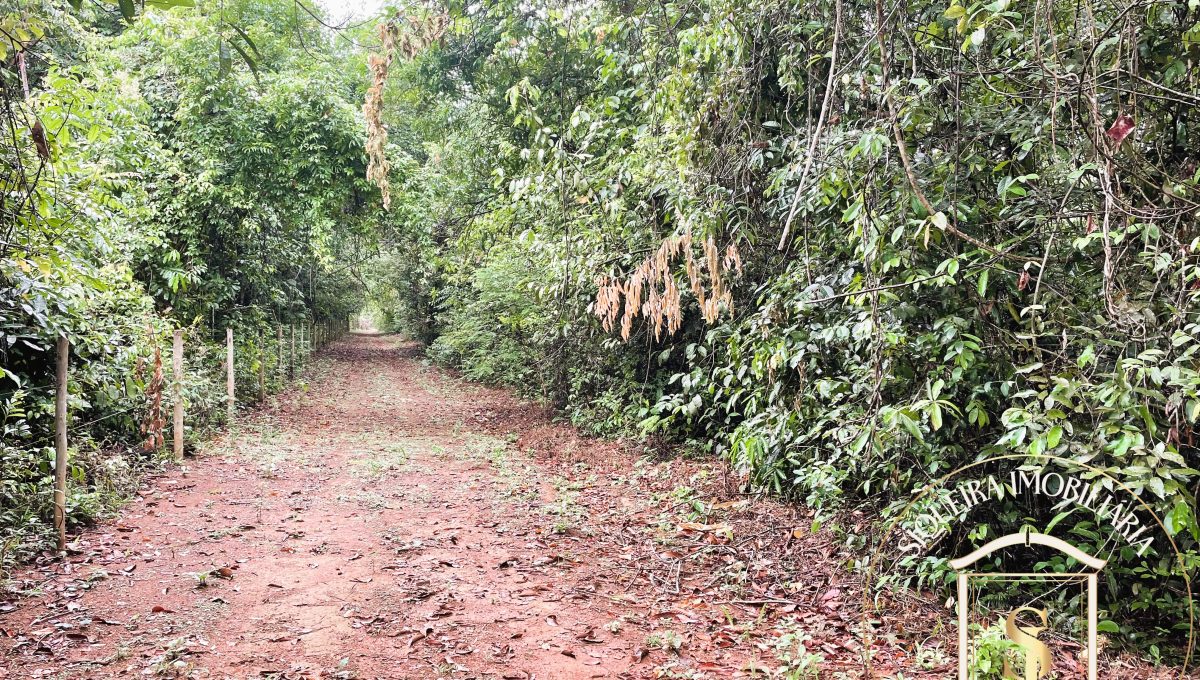 Siqueira Imóveis de Pirenópolis / Goiás / BrasilVenda de Casa em Brasília é na Siqueira Imobiliária de Pirenópolis / Imobiliária de Goiás / Imobiliária do Brasil / Imobiliária do Centro-Oeste / Pirenópolis Imóveis / Imóveis Pirenópolis / Imobiliária de Pirenópolis / Pirenópolis Imobiliária / Goiás Imóveis / Brasil Imóveis / Pirenópolis / Goiás / Brasil / Siqueira Imobiliária de Goiás / Consultoria Imobiliária / Consultor Imobiliário / Venda de Imóveis Pirenópolis / Melhor Imobiliária de Pirenópolis / Venda de pousadas / Venda de terrenos / venda de casas/ Venda de Lotes / Venda de Chácara / Venda de Fazenda / Venda de Apartamentos / Venda de Flat / Venda de Sítio / Brasília Imóveis / Goiânia Imóveis / Imobiliária de Goiânia / Imobiliária de Brasília/ Imobiliária em Pirenópolis / Imobiliária de Pirenópolis / Condomínio Fechado Vaga Fogo / Condomínio Paço da Estalagem / Condomínio Parque da Estalagem / Condomínio Quinta do Sol / Condomínio Fechado Pirenópolis / Cachoeiras Pirenópolis / Restaurante Pirenópolis /Siqueira Imóveis de Pirenópolis / Goiás / BrasilVenda de Casa em Brasília é na Siqueira Imobiliária de Pirenópolis / Imobiliária de Goiás / Imobiliária do Brasil / Imobiliária do Centro-Oeste / Pirenópolis Imóveis / Imóveis Pirenópolis / Imobiliária de Pirenópolis / Pirenópolis Imobiliária / Goiás Imóveis / Brasil Imóveis / Pirenópolis / Goiás / Brasil / Siqueira Imobiliária de Goiás / Consultoria Imobiliária / Consultor Imobiliário / Venda de Imóveis Pirenópolis / Melhor Imobiliária de Pirenópolis / Venda de pousadas / Venda de terrenos / venda de casas/ Venda de Lotes / Venda de Chácara / Venda de Fazenda / Venda de Apartamentos / Venda de Flat / Venda de Sítio / Brasília Imóveis / Goiânia Imóveis / Imobiliária de Goiânia / Imobiliária de Brasília/ Imobiliária em Pirenópolis / Imobiliária de Pirenópolis / Condomínio Fechado Vaga Fogo / Condomínio Paço da Estalagem / Condomínio Parque da Estalagem / Condomínio Quinta do Sol / Condomínio Fechado Pirenópolis / Cachoeiras Pirenópolis / Restaurante Pirenópolis /Siqueira Imóveis de Pirenópolis / Goiás / BrasilVenda de Casa em Brasília é na Siqueira Imobiliária de Pirenópolis / Imobiliária de Goiás / Imobiliária do Brasil / Imobiliária do Centro-Oeste / Pirenópolis Imóveis / Imóveis Pirenópolis / Imobiliária de Pirenópolis / Pirenópolis Imobiliária / Goiás Imóveis / Brasil Imóveis / Pirenópolis / Goiás / Brasil / Siqueira Imobiliária de Goiás / Consultoria Imobiliária / Consultor Imobiliário / Venda de Imóveis Pirenópolis / Melhor Imobiliária de Pirenópolis / Venda de pousadas / Venda de terrenos / venda de casas/ Venda de Lotes / Venda de Chácara / Venda de Fazenda / Venda de Apartamentos / Venda de Flat / Venda de Sítio / Brasília Imóveis / Goiânia Imóveis / Imobiliária de Goiânia / Imobiliária de Brasília/ Imobiliária em Pirenópolis / Imobiliária de Pirenópolis / Condomínio Fechado Vaga Fogo / Condomínio Paço da Estalagem / Condomínio Parque da Estalagem / Condomínio Quinta do Sol / Condomínio Fechado Pirenópolis / Cachoeiras Pirenópolis / Restaurante Pirenópolis /Siqueira Imóveis de Pirenópolis / Goiás / BrasilVenda de Casa em Brasília é na Siqueira Imobiliária de Pirenópolis / Imobiliária de Goiás / Imobiliária do Brasil / Imobiliária do Centro-Oeste / Pirenópolis Imóveis / Imóveis Pirenópolis / Imobiliária de Pirenópolis / Pirenópolis Imobiliária / Goiás Imóveis / Brasil Imóveis / Pirenópolis / Goiás / Brasil / Siqueira Imobiliária de Goiás / Consultoria Imobiliária / Consultor Imobiliário / Venda de Imóveis Pirenópolis / Melhor Imobiliária de Pirenópolis / Venda de pousadas / Venda de terrenos / venda de casas/ Venda de Lotes / Venda de Chácara / Venda de Fazenda / Venda de Apartamentos / Venda de Flat / Venda de Sítio / Brasília Imóveis / Goiânia Imóveis / Imobiliária de Goiânia / Imobiliária de Brasília/ Imobiliária em Pirenópolis / Imobiliária de Pirenópolis / Condomínio Fechado Vaga Fogo / Condomínio Paço da Estalagem / Condomínio Parque da Estalagem / Condomínio Quinta do Sol / Condomínio Fechado Pirenópolis / Cachoeiras Pirenópolis / Restaurante Pirenópolis /