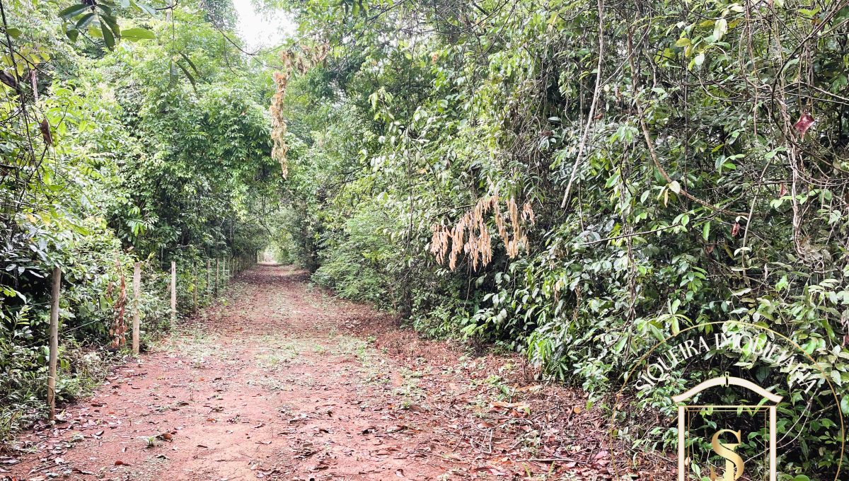 Siqueira Imóveis de Pirenópolis / Goiás / BrasilVenda de Casa em Brasília é na Siqueira Imobiliária de Pirenópolis / Imobiliária de Goiás / Imobiliária do Brasil / Imobiliária do Centro-Oeste / Pirenópolis Imóveis / Imóveis Pirenópolis / Imobiliária de Pirenópolis / Pirenópolis Imobiliária / Goiás Imóveis / Brasil Imóveis / Pirenópolis / Goiás / Brasil / Siqueira Imobiliária de Goiás / Consultoria Imobiliária / Consultor Imobiliário / Venda de Imóveis Pirenópolis / Melhor Imobiliária de Pirenópolis / Venda de pousadas / Venda de terrenos / venda de casas/ Venda de Lotes / Venda de Chácara / Venda de Fazenda / Venda de Apartamentos / Venda de Flat / Venda de Sítio / Brasília Imóveis / Goiânia Imóveis / Imobiliária de Goiânia / Imobiliária de Brasília/ Imobiliária em Pirenópolis / Imobiliária de Pirenópolis / Condomínio Fechado Vaga Fogo / Condomínio Paço da Estalagem / Condomínio Parque da Estalagem / Condomínio Quinta do Sol / Condomínio Fechado Pirenópolis / Cachoeiras Pirenópolis / Restaurante Pirenópolis /Siqueira Imóveis de Pirenópolis / Goiás / BrasilVenda de Casa em Brasília é na Siqueira Imobiliária de Pirenópolis / Imobiliária de Goiás / Imobiliária do Brasil / Imobiliária do Centro-Oeste / Pirenópolis Imóveis / Imóveis Pirenópolis / Imobiliária de Pirenópolis / Pirenópolis Imobiliária / Goiás Imóveis / Brasil Imóveis / Pirenópolis / Goiás / Brasil / Siqueira Imobiliária de Goiás / Consultoria Imobiliária / Consultor Imobiliário / Venda de Imóveis Pirenópolis / Melhor Imobiliária de Pirenópolis / Venda de pousadas / Venda de terrenos / venda de casas/ Venda de Lotes / Venda de Chácara / Venda de Fazenda / Venda de Apartamentos / Venda de Flat / Venda de Sítio / Brasília Imóveis / Goiânia Imóveis / Imobiliária de Goiânia / Imobiliária de Brasília/ Imobiliária em Pirenópolis / Imobiliária de Pirenópolis / Condomínio Fechado Vaga Fogo / Condomínio Paço da Estalagem / Condomínio Parque da Estalagem / Condomínio Quinta do Sol / Condomínio Fechado Pirenópolis / Cachoeiras Pirenópolis / Restaurante Pirenópolis /Siqueira Imóveis de Pirenópolis / Goiás / BrasilVenda de Casa em Brasília é na Siqueira Imobiliária de Pirenópolis / Imobiliária de Goiás / Imobiliária do Brasil / Imobiliária do Centro-Oeste / Pirenópolis Imóveis / Imóveis Pirenópolis / Imobiliária de Pirenópolis / Pirenópolis Imobiliária / Goiás Imóveis / Brasil Imóveis / Pirenópolis / Goiás / Brasil / Siqueira Imobiliária de Goiás / Consultoria Imobiliária / Consultor Imobiliário / Venda de Imóveis Pirenópolis / Melhor Imobiliária de Pirenópolis / Venda de pousadas / Venda de terrenos / venda de casas/ Venda de Lotes / Venda de Chácara / Venda de Fazenda / Venda de Apartamentos / Venda de Flat / Venda de Sítio / Brasília Imóveis / Goiânia Imóveis / Imobiliária de Goiânia / Imobiliária de Brasília/ Imobiliária em Pirenópolis / Imobiliária de Pirenópolis / Condomínio Fechado Vaga Fogo / Condomínio Paço da Estalagem / Condomínio Parque da Estalagem / Condomínio Quinta do Sol / Condomínio Fechado Pirenópolis / Cachoeiras Pirenópolis / Restaurante Pirenópolis /Siqueira Imóveis de Pirenópolis / Goiás / BrasilVenda de Casa em Brasília é na Siqueira Imobiliária de Pirenópolis / Imobiliária de Goiás / Imobiliária do Brasil / Imobiliária do Centro-Oeste / Pirenópolis Imóveis / Imóveis Pirenópolis / Imobiliária de Pirenópolis / Pirenópolis Imobiliária / Goiás Imóveis / Brasil Imóveis / Pirenópolis / Goiás / Brasil / Siqueira Imobiliária de Goiás / Consultoria Imobiliária / Consultor Imobiliário / Venda de Imóveis Pirenópolis / Melhor Imobiliária de Pirenópolis / Venda de pousadas / Venda de terrenos / venda de casas/ Venda de Lotes / Venda de Chácara / Venda de Fazenda / Venda de Apartamentos / Venda de Flat / Venda de Sítio / Brasília Imóveis / Goiânia Imóveis / Imobiliária de Goiânia / Imobiliária de Brasília/ Imobiliária em Pirenópolis / Imobiliária de Pirenópolis / Condomínio Fechado Vaga Fogo / Condomínio Paço da Estalagem / Condomínio Parque da Estalagem / Condomínio Quinta do Sol / Condomínio Fechado Pirenópolis / Cachoeiras Pirenópolis / Restaurante Pirenópolis /