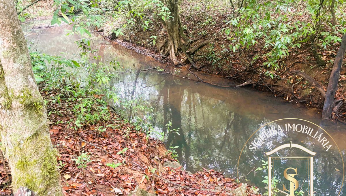 Siqueira Imóveis de Pirenópolis / Goiás / BrasilVenda de Casa em Brasília é na Siqueira Imobiliária de Pirenópolis / Imobiliária de Goiás / Imobiliária do Brasil / Imobiliária do Centro-Oeste / Pirenópolis Imóveis / Imóveis Pirenópolis / Imobiliária de Pirenópolis / Pirenópolis Imobiliária / Goiás Imóveis / Brasil Imóveis / Pirenópolis / Goiás / Brasil / Siqueira Imobiliária de Goiás / Consultoria Imobiliária / Consultor Imobiliário / Venda de Imóveis Pirenópolis / Melhor Imobiliária de Pirenópolis / Venda de pousadas / Venda de terrenos / venda de casas/ Venda de Lotes / Venda de Chácara / Venda de Fazenda / Venda de Apartamentos / Venda de Flat / Venda de Sítio / Brasília Imóveis / Goiânia Imóveis / Imobiliária de Goiânia / Imobiliária de Brasília/ Imobiliária em Pirenópolis / Imobiliária de Pirenópolis / Condomínio Fechado Vaga Fogo / Condomínio Paço da Estalagem / Condomínio Parque da Estalagem / Condomínio Quinta do Sol / Condomínio Fechado Pirenópolis / Cachoeiras Pirenópolis / Restaurante Pirenópolis /Siqueira Imóveis de Pirenópolis / Goiás / BrasilVenda de Casa em Brasília é na Siqueira Imobiliária de Pirenópolis / Imobiliária de Goiás / Imobiliária do Brasil / Imobiliária do Centro-Oeste / Pirenópolis Imóveis / Imóveis Pirenópolis / Imobiliária de Pirenópolis / Pirenópolis Imobiliária / Goiás Imóveis / Brasil Imóveis / Pirenópolis / Goiás / Brasil / Siqueira Imobiliária de Goiás / Consultoria Imobiliária / Consultor Imobiliário / Venda de Imóveis Pirenópolis / Melhor Imobiliária de Pirenópolis / Venda de pousadas / Venda de terrenos / venda de casas/ Venda de Lotes / Venda de Chácara / Venda de Fazenda / Venda de Apartamentos / Venda de Flat / Venda de Sítio / Brasília Imóveis / Goiânia Imóveis / Imobiliária de Goiânia / Imobiliária de Brasília/ Imobiliária em Pirenópolis / Imobiliária de Pirenópolis / Condomínio Fechado Vaga Fogo / Condomínio Paço da Estalagem / Condomínio Parque da Estalagem / Condomínio Quinta do Sol / Condomínio Fechado Pirenópolis / Cachoeiras Pirenópolis / Restaurante Pirenópolis /Siqueira Imóveis de Pirenópolis / Goiás / BrasilVenda de Casa em Brasília é na Siqueira Imobiliária de Pirenópolis / Imobiliária de Goiás / Imobiliária do Brasil / Imobiliária do Centro-Oeste / Pirenópolis Imóveis / Imóveis Pirenópolis / Imobiliária de Pirenópolis / Pirenópolis Imobiliária / Goiás Imóveis / Brasil Imóveis / Pirenópolis / Goiás / Brasil / Siqueira Imobiliária de Goiás / Consultoria Imobiliária / Consultor Imobiliário / Venda de Imóveis Pirenópolis / Melhor Imobiliária de Pirenópolis / Venda de pousadas / Venda de terrenos / venda de casas/ Venda de Lotes / Venda de Chácara / Venda de Fazenda / Venda de Apartamentos / Venda de Flat / Venda de Sítio / Brasília Imóveis / Goiânia Imóveis / Imobiliária de Goiânia / Imobiliária de Brasília/ Imobiliária em Pirenópolis / Imobiliária de Pirenópolis / Condomínio Fechado Vaga Fogo / Condomínio Paço da Estalagem / Condomínio Parque da Estalagem / Condomínio Quinta do Sol / Condomínio Fechado Pirenópolis / Cachoeiras Pirenópolis / Restaurante Pirenópolis /Siqueira Imóveis de Pirenópolis / Goiás / BrasilVenda de Casa em Brasília é na Siqueira Imobiliária de Pirenópolis / Imobiliária de Goiás / Imobiliária do Brasil / Imobiliária do Centro-Oeste / Pirenópolis Imóveis / Imóveis Pirenópolis / Imobiliária de Pirenópolis / Pirenópolis Imobiliária / Goiás Imóveis / Brasil Imóveis / Pirenópolis / Goiás / Brasil / Siqueira Imobiliária de Goiás / Consultoria Imobiliária / Consultor Imobiliário / Venda de Imóveis Pirenópolis / Melhor Imobiliária de Pirenópolis / Venda de pousadas / Venda de terrenos / venda de casas/ Venda de Lotes / Venda de Chácara / Venda de Fazenda / Venda de Apartamentos / Venda de Flat / Venda de Sítio / Brasília Imóveis / Goiânia Imóveis / Imobiliária de Goiânia / Imobiliária de Brasília/ Imobiliária em Pirenópolis / Imobiliária de Pirenópolis / Condomínio Fechado Vaga Fogo / Condomínio Paço da Estalagem / Condomínio Parque da Estalagem / Condomínio Quinta do Sol / Condomínio Fechado Pirenópolis / Cachoeiras Pirenópolis / Restaurante Pirenópolis /