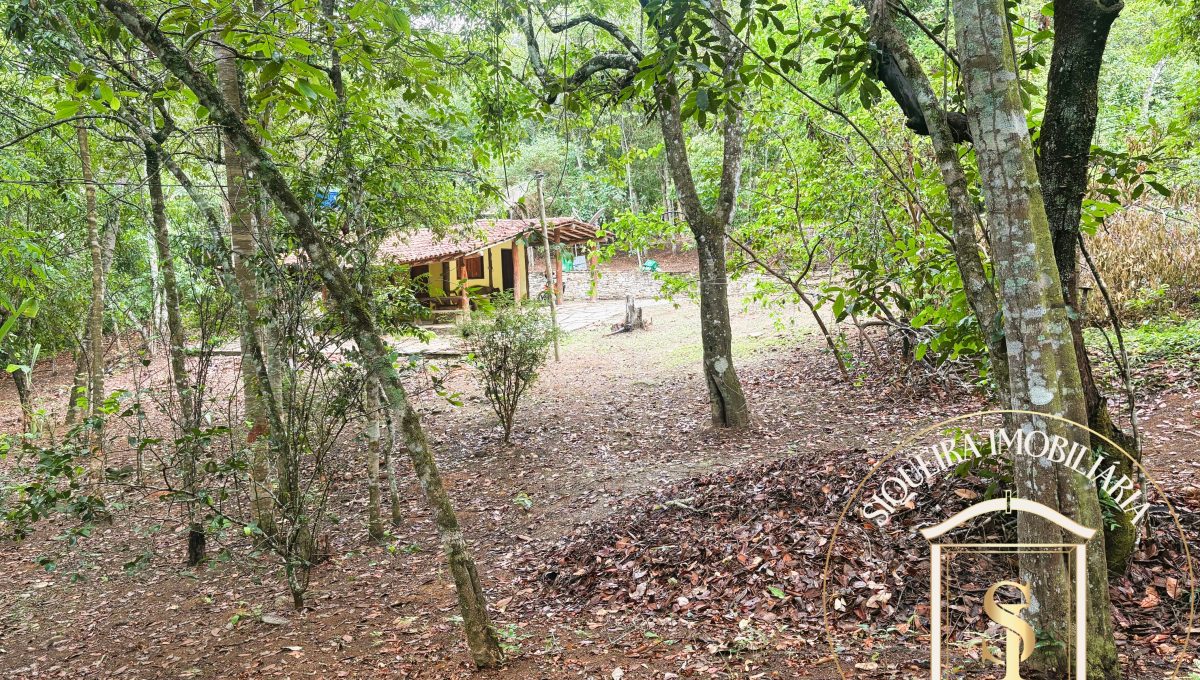 Siqueira Imóveis de Pirenópolis / Goiás / BrasilVenda de Casa em Brasília é na Siqueira Imobiliária de Pirenópolis / Imobiliária de Goiás / Imobiliária do Brasil / Imobiliária do Centro-Oeste / Pirenópolis Imóveis / Imóveis Pirenópolis / Imobiliária de Pirenópolis / Pirenópolis Imobiliária / Goiás Imóveis / Brasil Imóveis / Pirenópolis / Goiás / Brasil / Siqueira Imobiliária de Goiás / Consultoria Imobiliária / Consultor Imobiliário / Venda de Imóveis Pirenópolis / Melhor Imobiliária de Pirenópolis / Venda de pousadas / Venda de terrenos / venda de casas/ Venda de Lotes / Venda de Chácara / Venda de Fazenda / Venda de Apartamentos / Venda de Flat / Venda de Sítio / Brasília Imóveis / Goiânia Imóveis / Imobiliária de Goiânia / Imobiliária de Brasília/ Imobiliária em Pirenópolis / Imobiliária de Pirenópolis / Condomínio Fechado Vaga Fogo / Condomínio Paço da Estalagem / Condomínio Parque da Estalagem / Condomínio Quinta do Sol / Condomínio Fechado Pirenópolis / Cachoeiras Pirenópolis / Restaurante Pirenópolis /Siqueira Imóveis de Pirenópolis / Goiás / BrasilVenda de Casa em Brasília é na Siqueira Imobiliária de Pirenópolis / Imobiliária de Goiás / Imobiliária do Brasil / Imobiliária do Centro-Oeste / Pirenópolis Imóveis / Imóveis Pirenópolis / Imobiliária de Pirenópolis / Pirenópolis Imobiliária / Goiás Imóveis / Brasil Imóveis / Pirenópolis / Goiás / Brasil / Siqueira Imobiliária de Goiás / Consultoria Imobiliária / Consultor Imobiliário / Venda de Imóveis Pirenópolis / Melhor Imobiliária de Pirenópolis / Venda de pousadas / Venda de terrenos / venda de casas/ Venda de Lotes / Venda de Chácara / Venda de Fazenda / Venda de Apartamentos / Venda de Flat / Venda de Sítio / Brasília Imóveis / Goiânia Imóveis / Imobiliária de Goiânia / Imobiliária de Brasília/ Imobiliária em Pirenópolis / Imobiliária de Pirenópolis / Condomínio Fechado Vaga Fogo / Condomínio Paço da Estalagem / Condomínio Parque da Estalagem / Condomínio Quinta do Sol / Condomínio Fechado Pirenópolis / Cachoeiras Pirenópolis / Restaurante Pirenópolis /Siqueira Imóveis de Pirenópolis / Goiás / BrasilVenda de Casa em Brasília é na Siqueira Imobiliária de Pirenópolis / Imobiliária de Goiás / Imobiliária do Brasil / Imobiliária do Centro-Oeste / Pirenópolis Imóveis / Imóveis Pirenópolis / Imobiliária de Pirenópolis / Pirenópolis Imobiliária / Goiás Imóveis / Brasil Imóveis / Pirenópolis / Goiás / Brasil / Siqueira Imobiliária de Goiás / Consultoria Imobiliária / Consultor Imobiliário / Venda de Imóveis Pirenópolis / Melhor Imobiliária de Pirenópolis / Venda de pousadas / Venda de terrenos / venda de casas/ Venda de Lotes / Venda de Chácara / Venda de Fazenda / Venda de Apartamentos / Venda de Flat / Venda de Sítio / Brasília Imóveis / Goiânia Imóveis / Imobiliária de Goiânia / Imobiliária de Brasília/ Imobiliária em Pirenópolis / Imobiliária de Pirenópolis / Condomínio Fechado Vaga Fogo / Condomínio Paço da Estalagem / Condomínio Parque da Estalagem / Condomínio Quinta do Sol / Condomínio Fechado Pirenópolis / Cachoeiras Pirenópolis / Restaurante Pirenópolis /Siqueira Imóveis de Pirenópolis / Goiás / BrasilVenda de Casa em Brasília é na Siqueira Imobiliária de Pirenópolis / Imobiliária de Goiás / Imobiliária do Brasil / Imobiliária do Centro-Oeste / Pirenópolis Imóveis / Imóveis Pirenópolis / Imobiliária de Pirenópolis / Pirenópolis Imobiliária / Goiás Imóveis / Brasil Imóveis / Pirenópolis / Goiás / Brasil / Siqueira Imobiliária de Goiás / Consultoria Imobiliária / Consultor Imobiliário / Venda de Imóveis Pirenópolis / Melhor Imobiliária de Pirenópolis / Venda de pousadas / Venda de terrenos / venda de casas/ Venda de Lotes / Venda de Chácara / Venda de Fazenda / Venda de Apartamentos / Venda de Flat / Venda de Sítio / Brasília Imóveis / Goiânia Imóveis / Imobiliária de Goiânia / Imobiliária de Brasília/ Imobiliária em Pirenópolis / Imobiliária de Pirenópolis / Condomínio Fechado Vaga Fogo / Condomínio Paço da Estalagem / Condomínio Parque da Estalagem / Condomínio Quinta do Sol / Condomínio Fechado Pirenópolis / Cachoeiras Pirenópolis / Restaurante Pirenópolis /